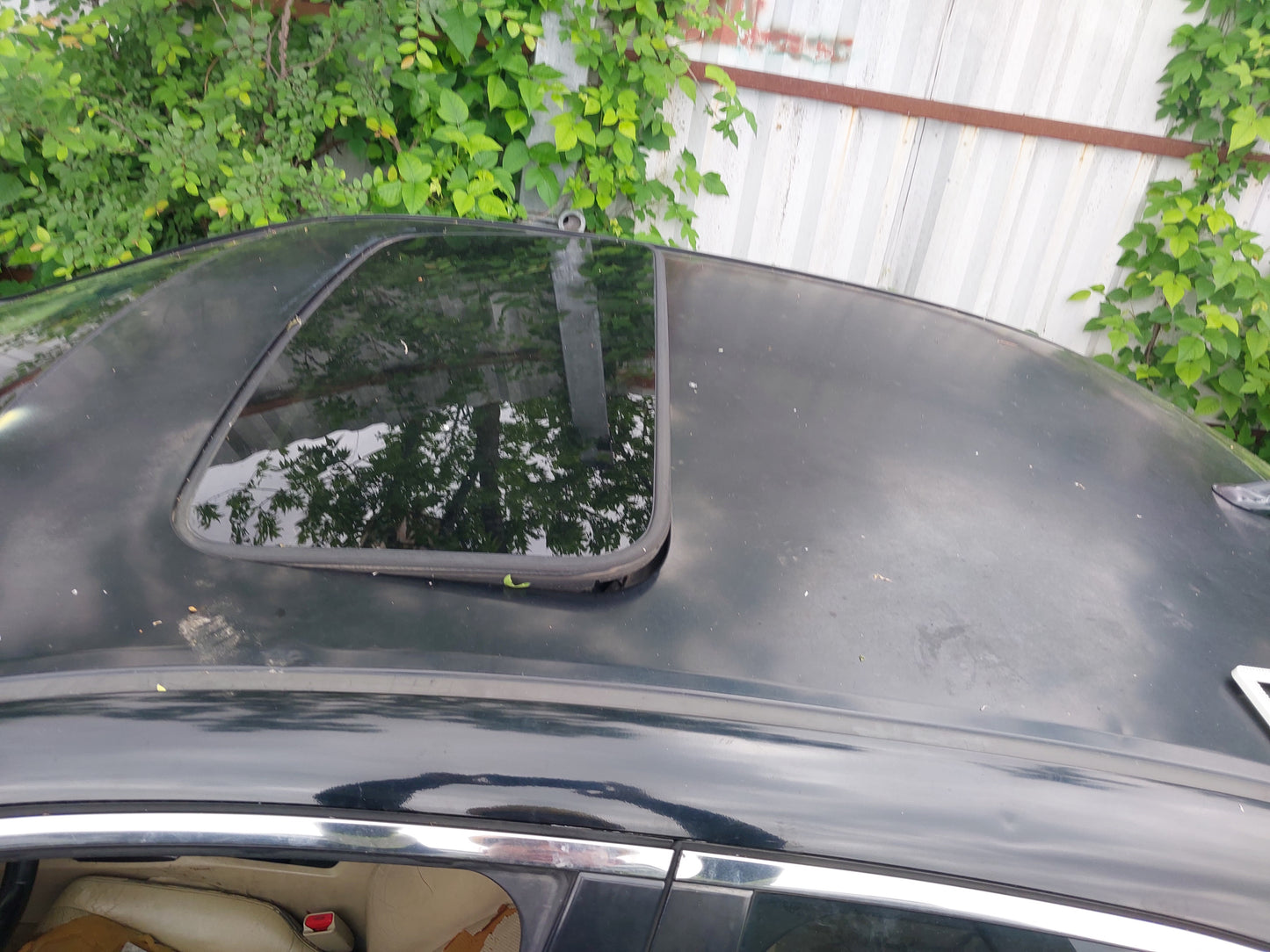 2009-2011 Acura TSX - Stock #: M18842