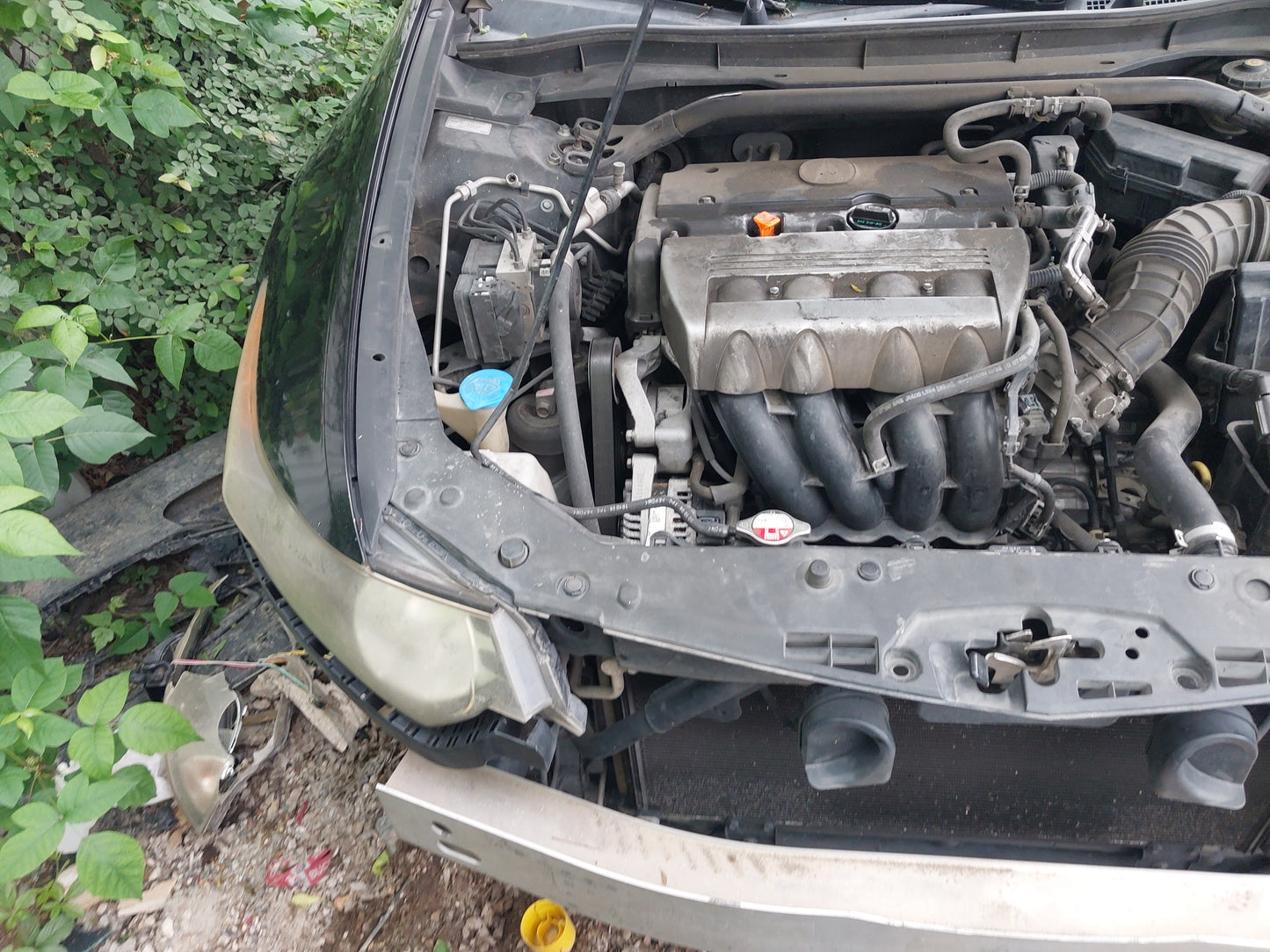 2009-2011 Acura TSX - Stock #: M18842