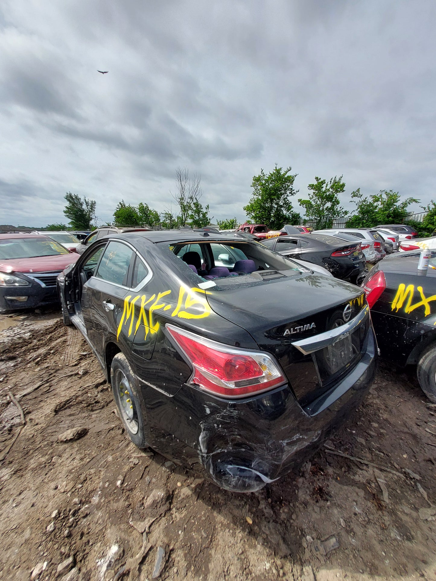 2015 Nissan Altima - Stock #: M18965 - MXE-15