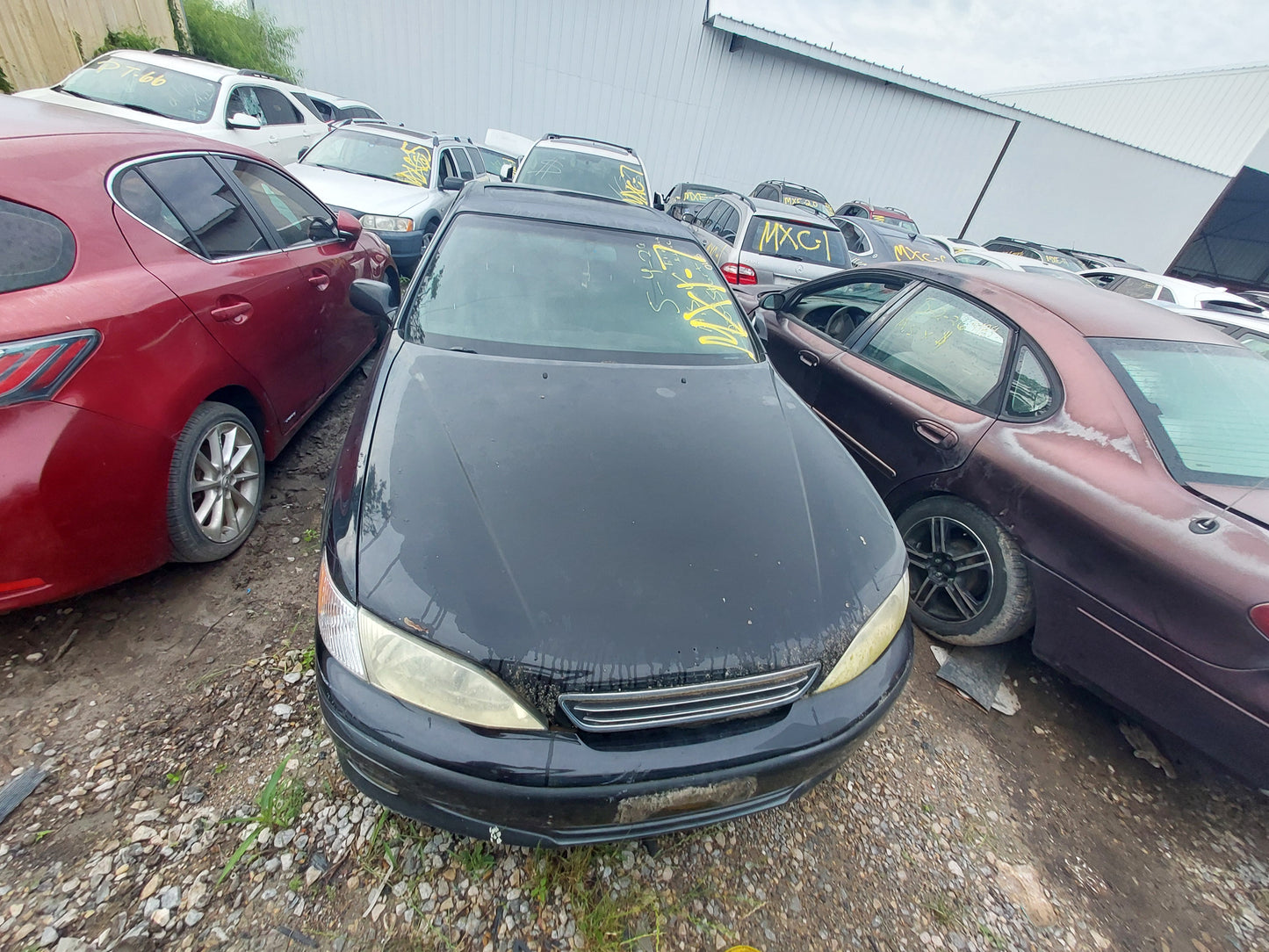 1997 - 2001 Lexus ES300 - Stock #: M19037 MXI-7