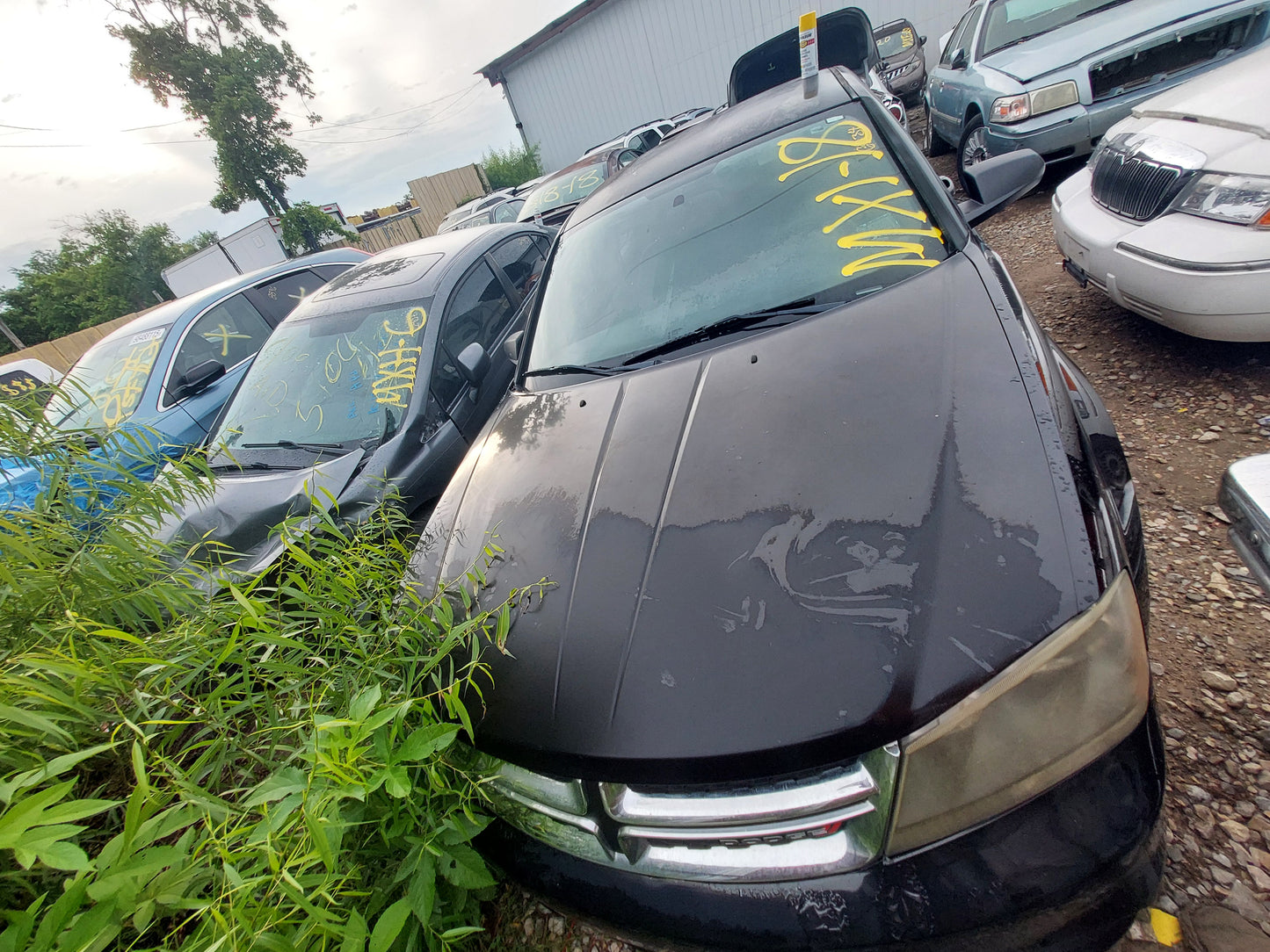 2011-2014 Dodge Avenger - Stock #: M19048