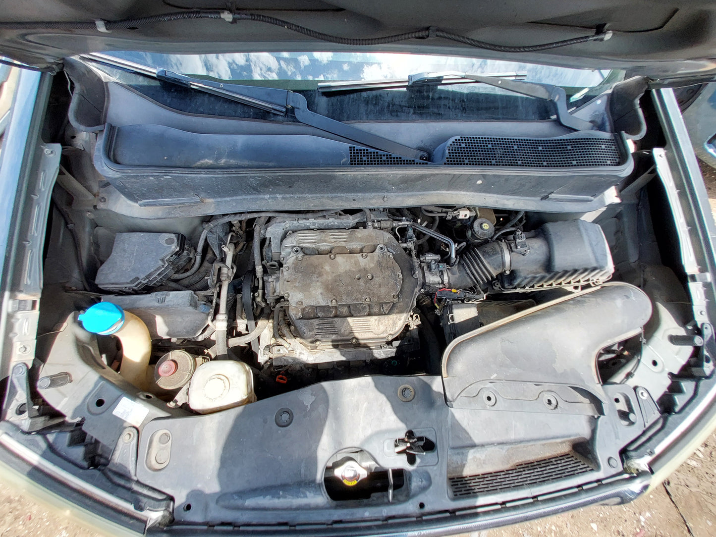 2009 HONDA PILOT - STOCK #M19015