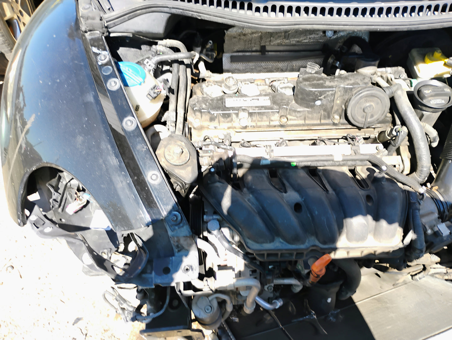 2006-2010 Volkswagen Beetle - Stock #: M18811