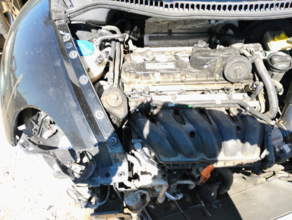 2006-2010 Volkswagen Beetle - Stock #: M18811