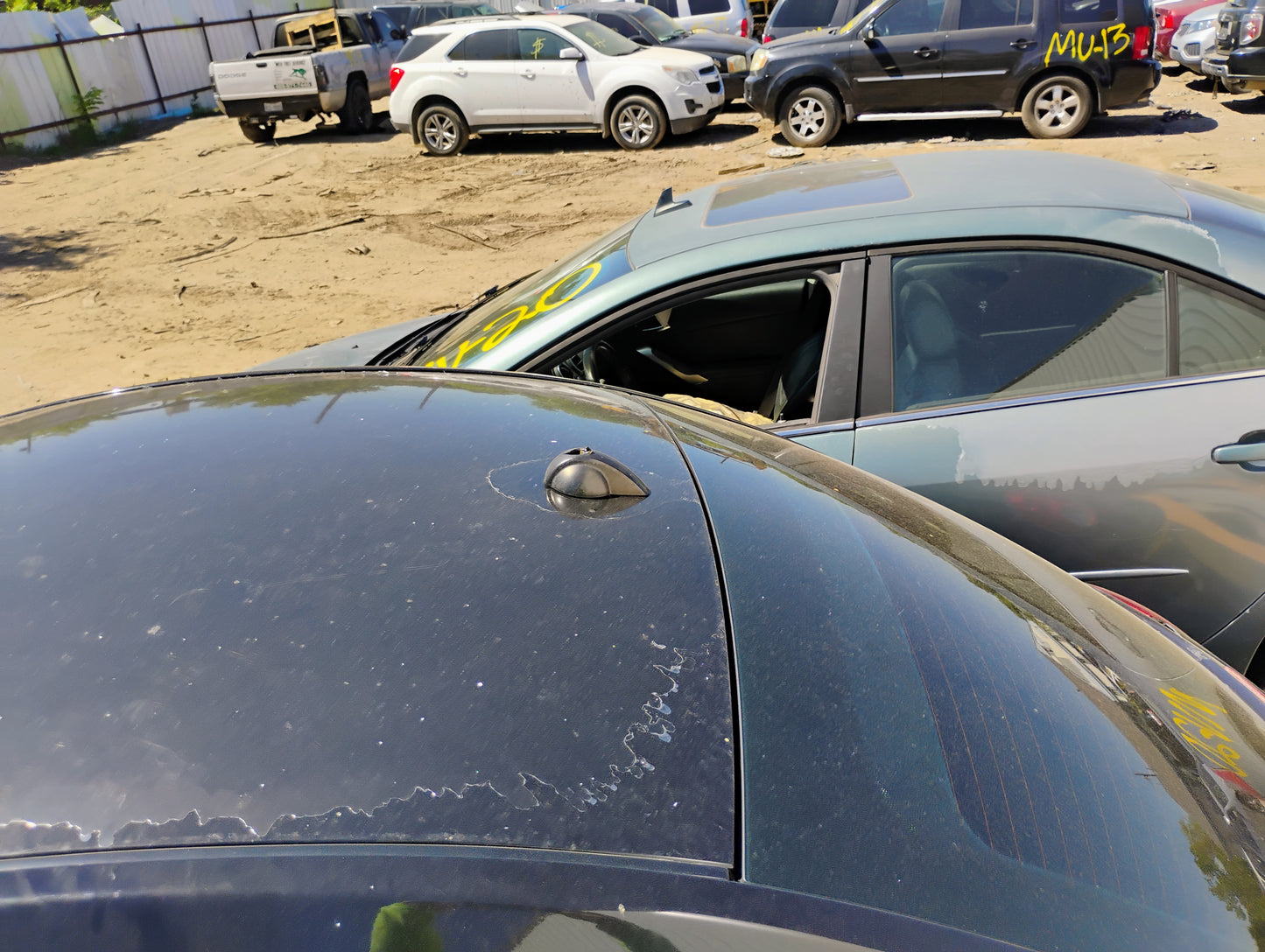 2006-2010 Volkswagen Beetle - Stock #: M18811