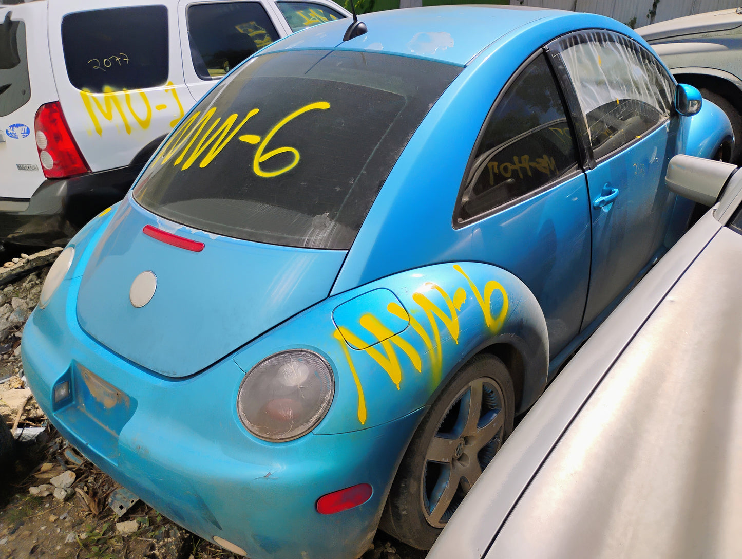 1998-2005 Volkswagen Beetle - Stock #: M18836