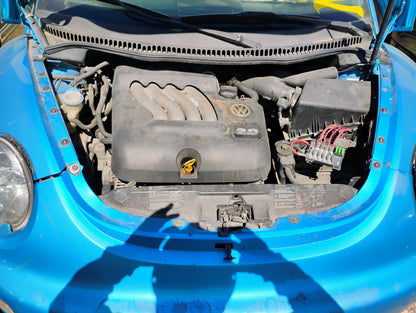 1998-2005 Volkswagen Beetle - Stock #: M18836