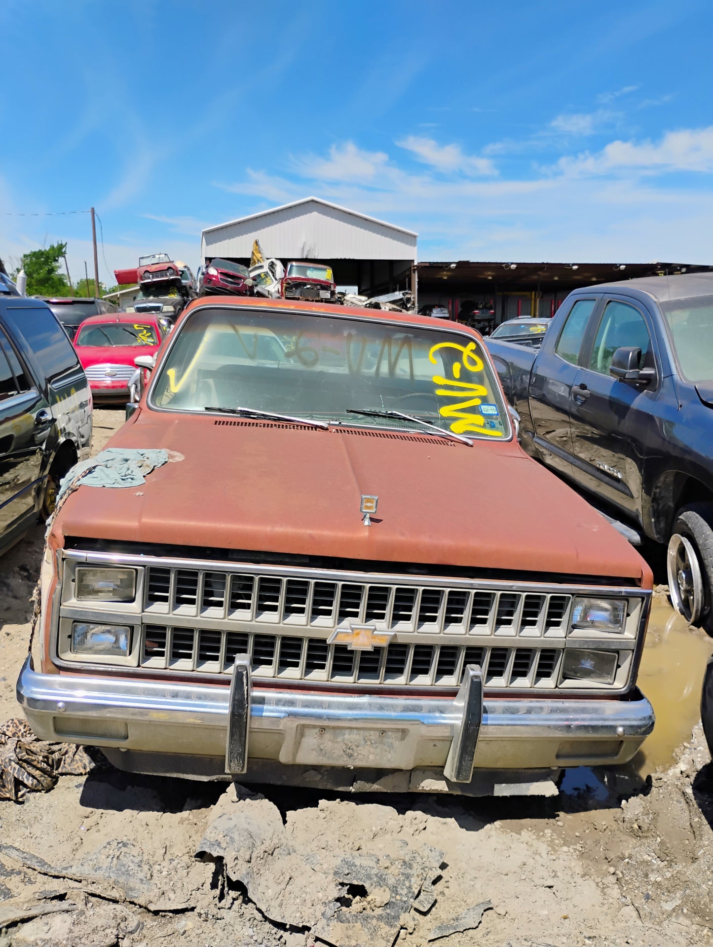 1982 Chevrolet Silverado -  Stock #: M18812 - MV-2