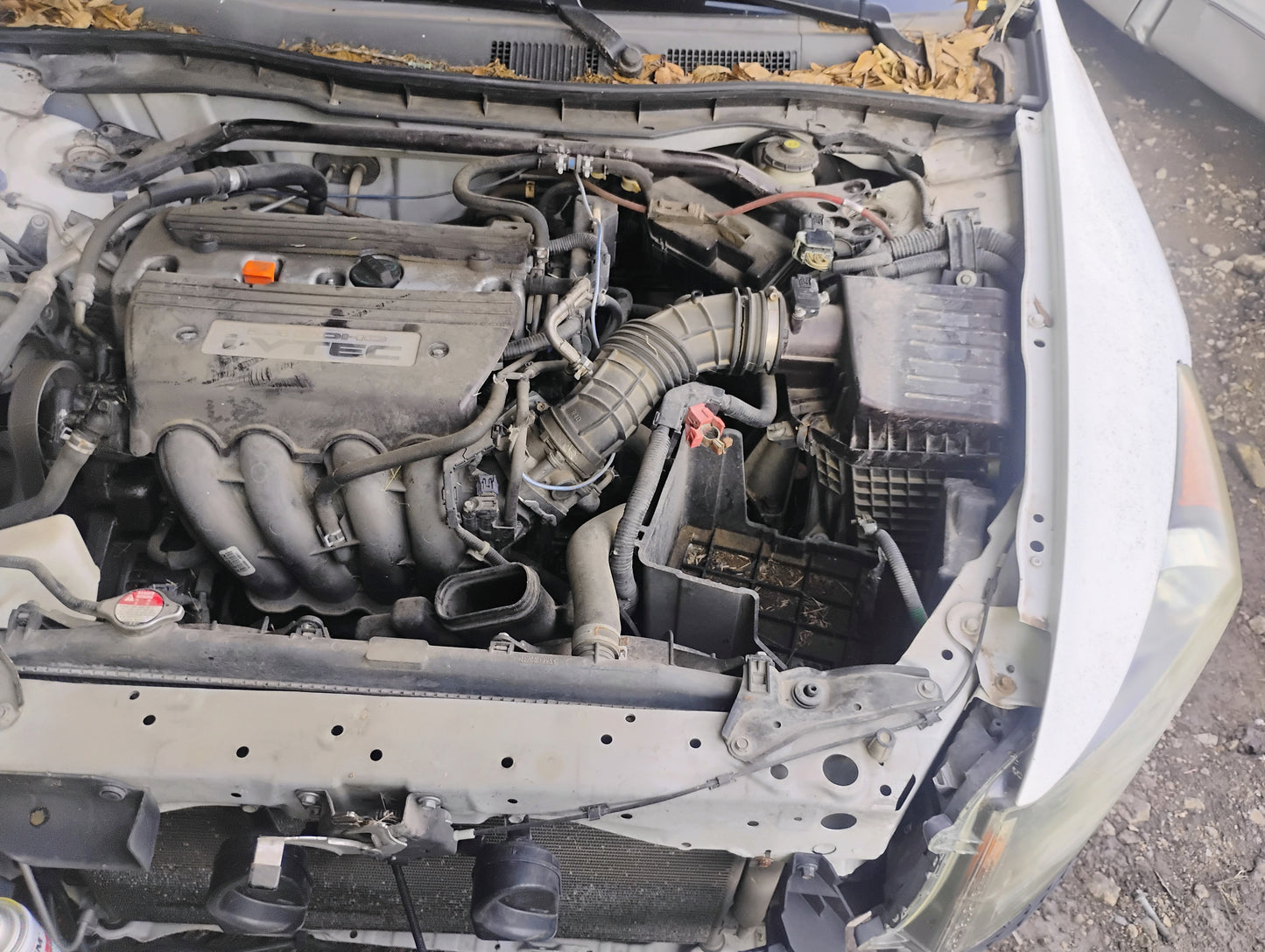 2008 - 2012 Honda Accord - Stock #: M19183 MXP-13