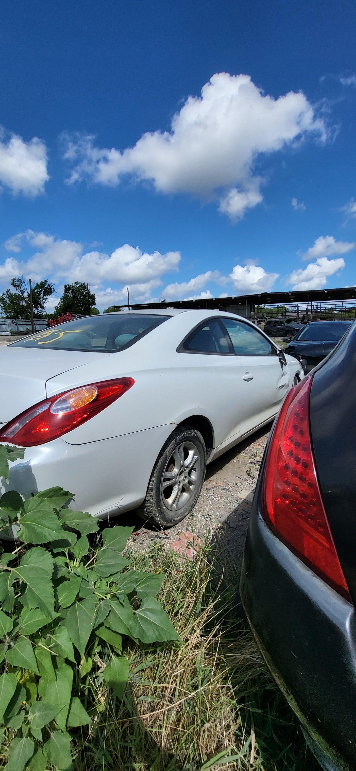 2/2 2004-2008 TOYOTA SOLARA | All Parts G - Z | SKU #: M17275