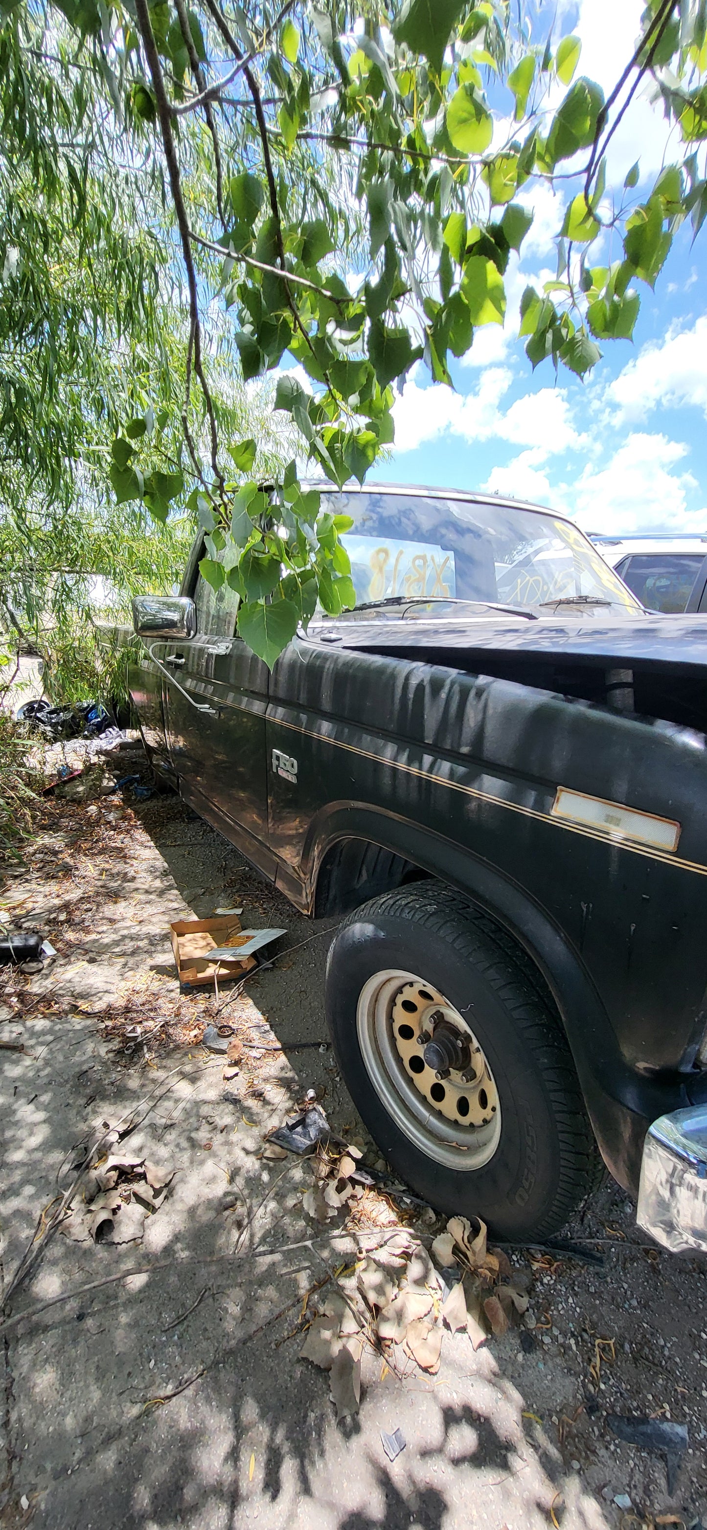 2/2 1980-1986 Ford F-150 | All Parts A - F | SKU #: M17308 XB-18