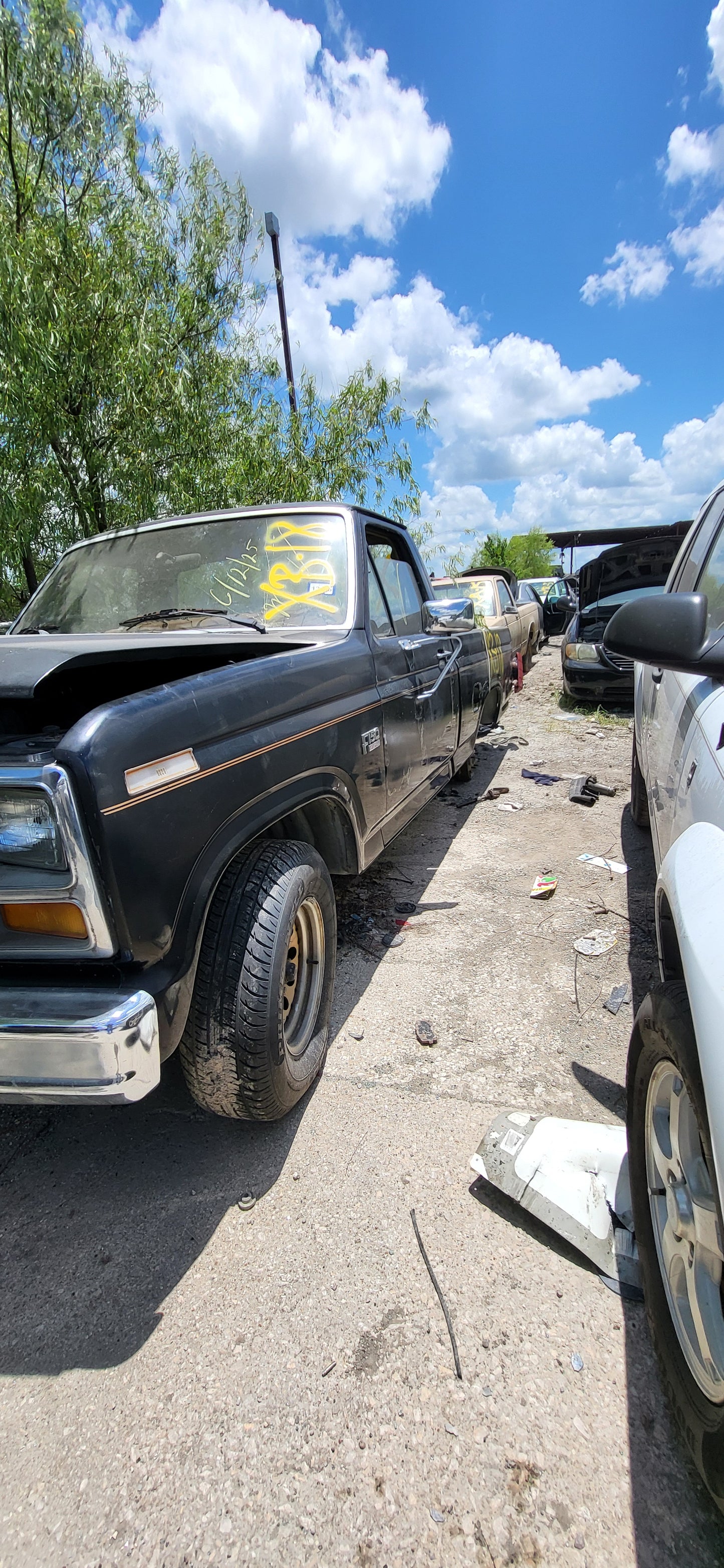2/2 1980-1986 Ford F-150 | All Parts A - F | SKU #: M17308 XB-18