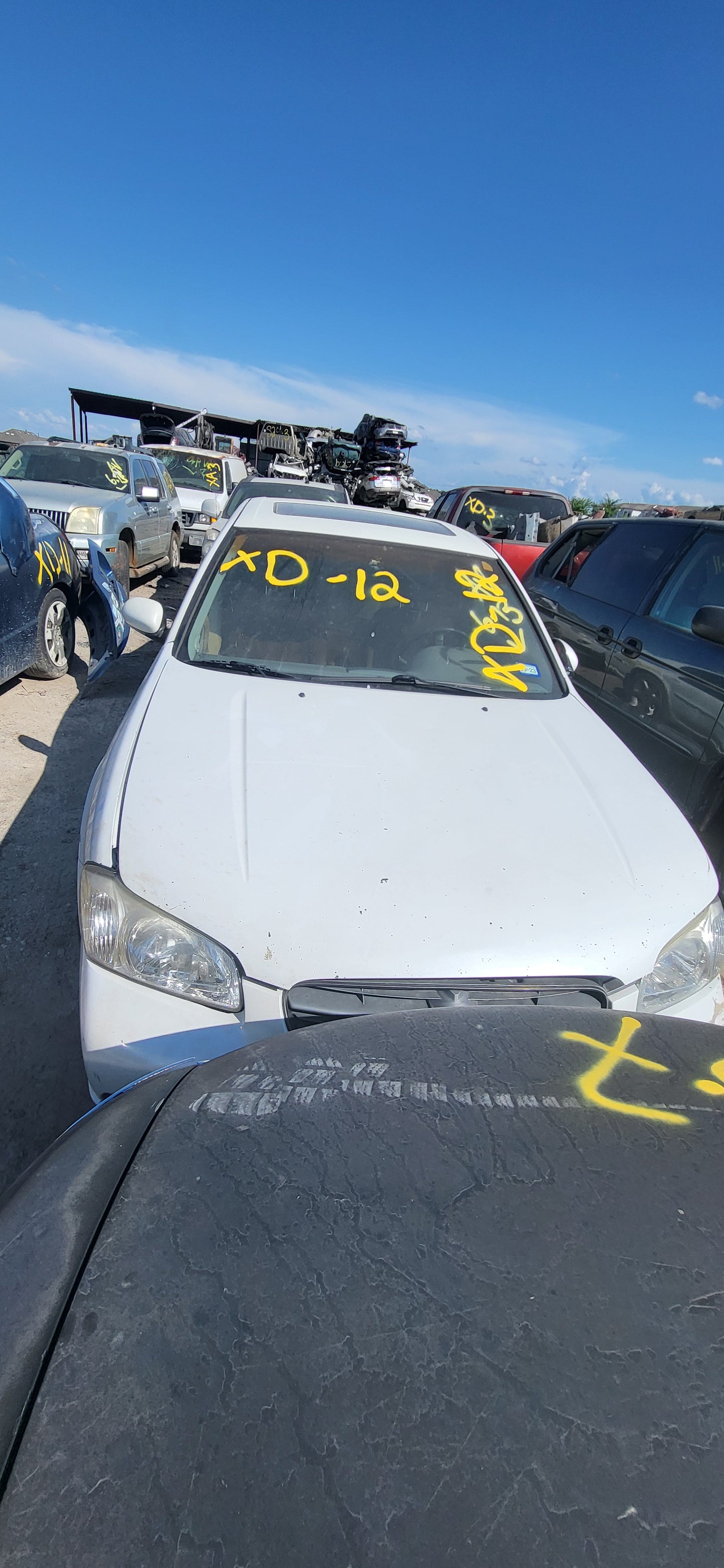 2/2 2000 - 2003 Nissan Maxima | All Parts G - Z | SKU #:M 17342 - XD-12