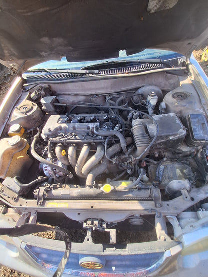 2001 TOYOTA COROLLA - STOCK #M19395
