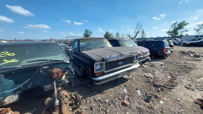 1972 - 1991 Chevrolet Pickup C10 - Stock #: M18769 MS-19