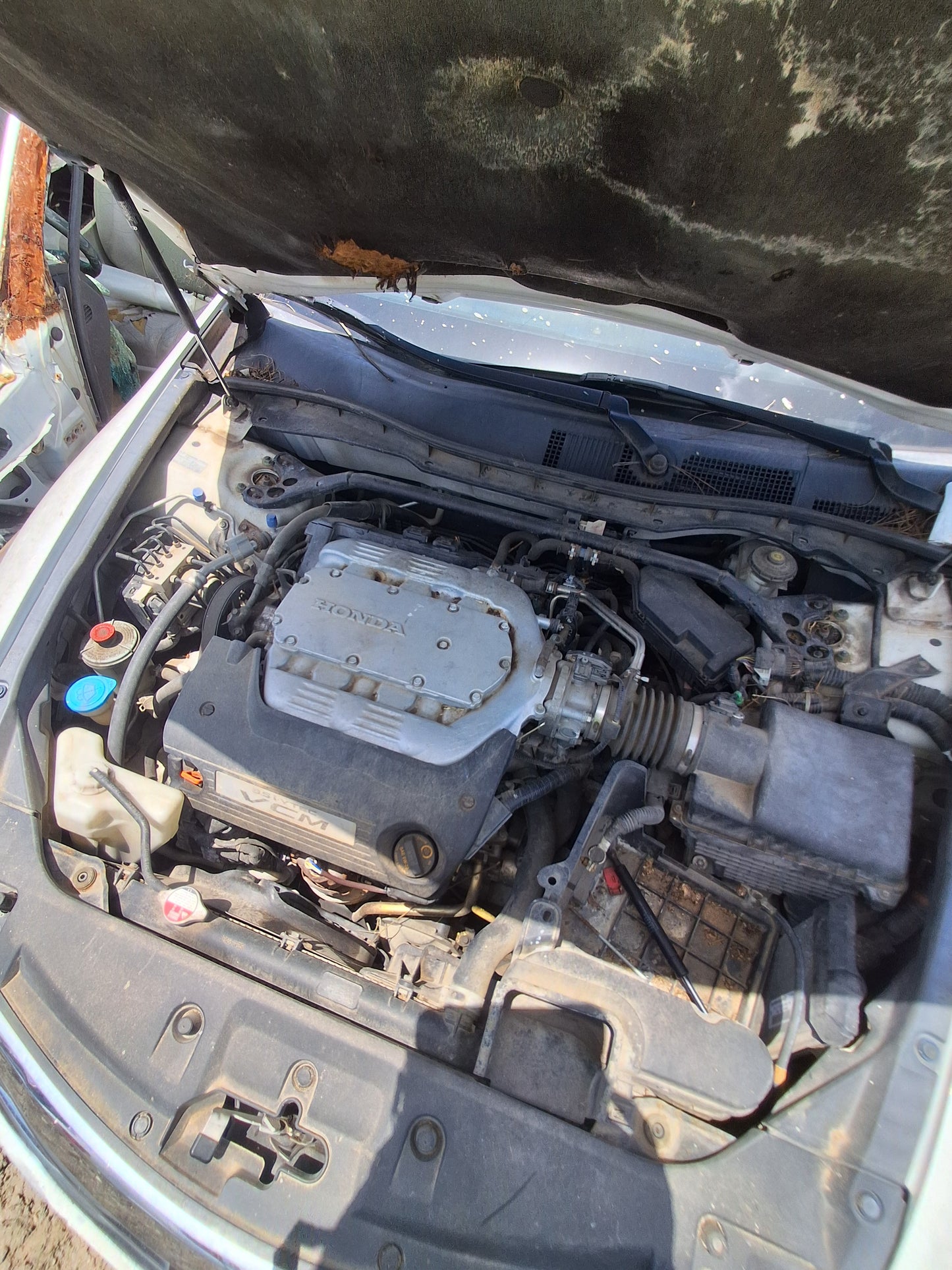 2011-2012 Honda Accord - Stock #: M19419