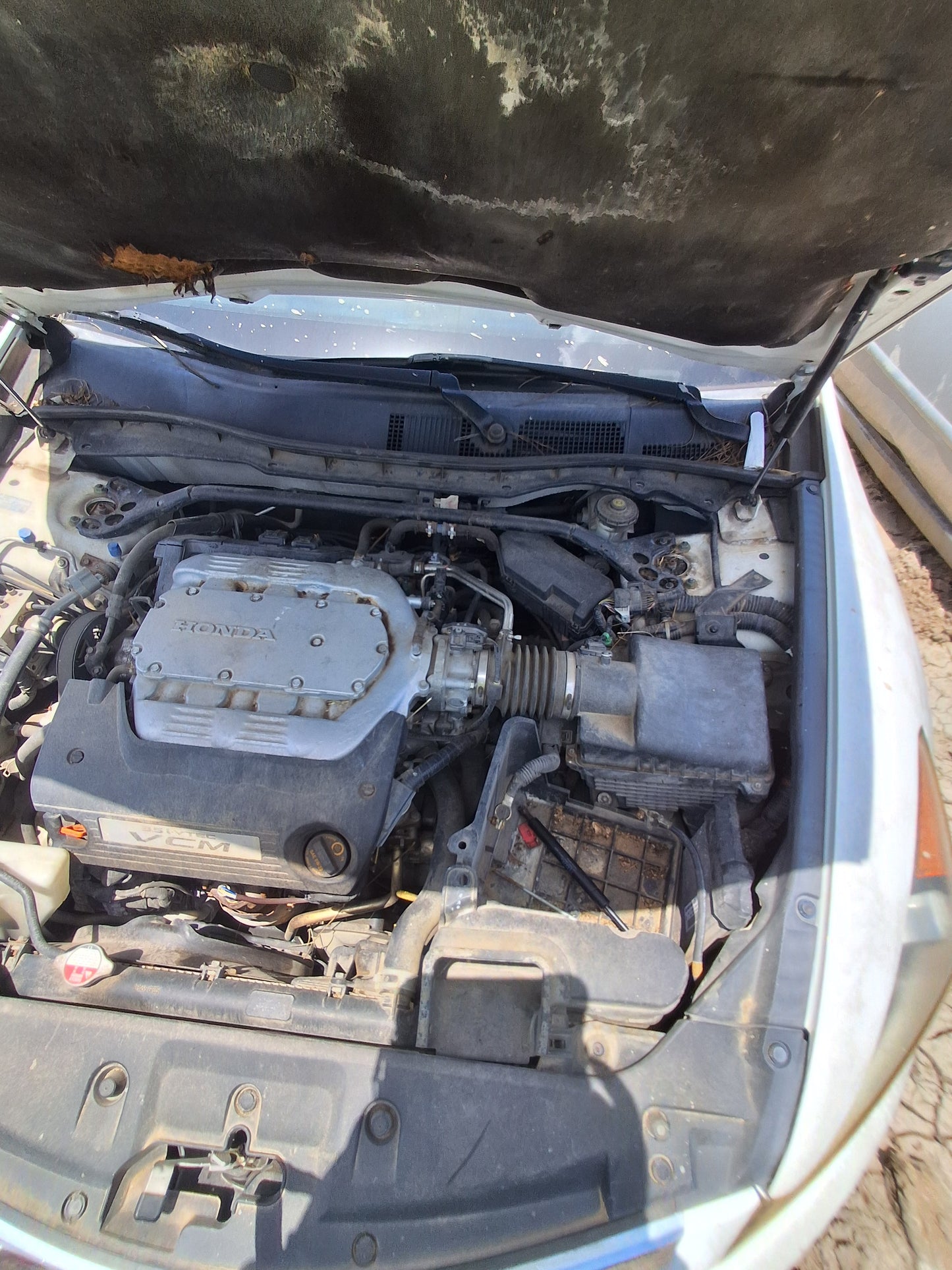 2011-2012 Honda Accord - Stock #: M19419