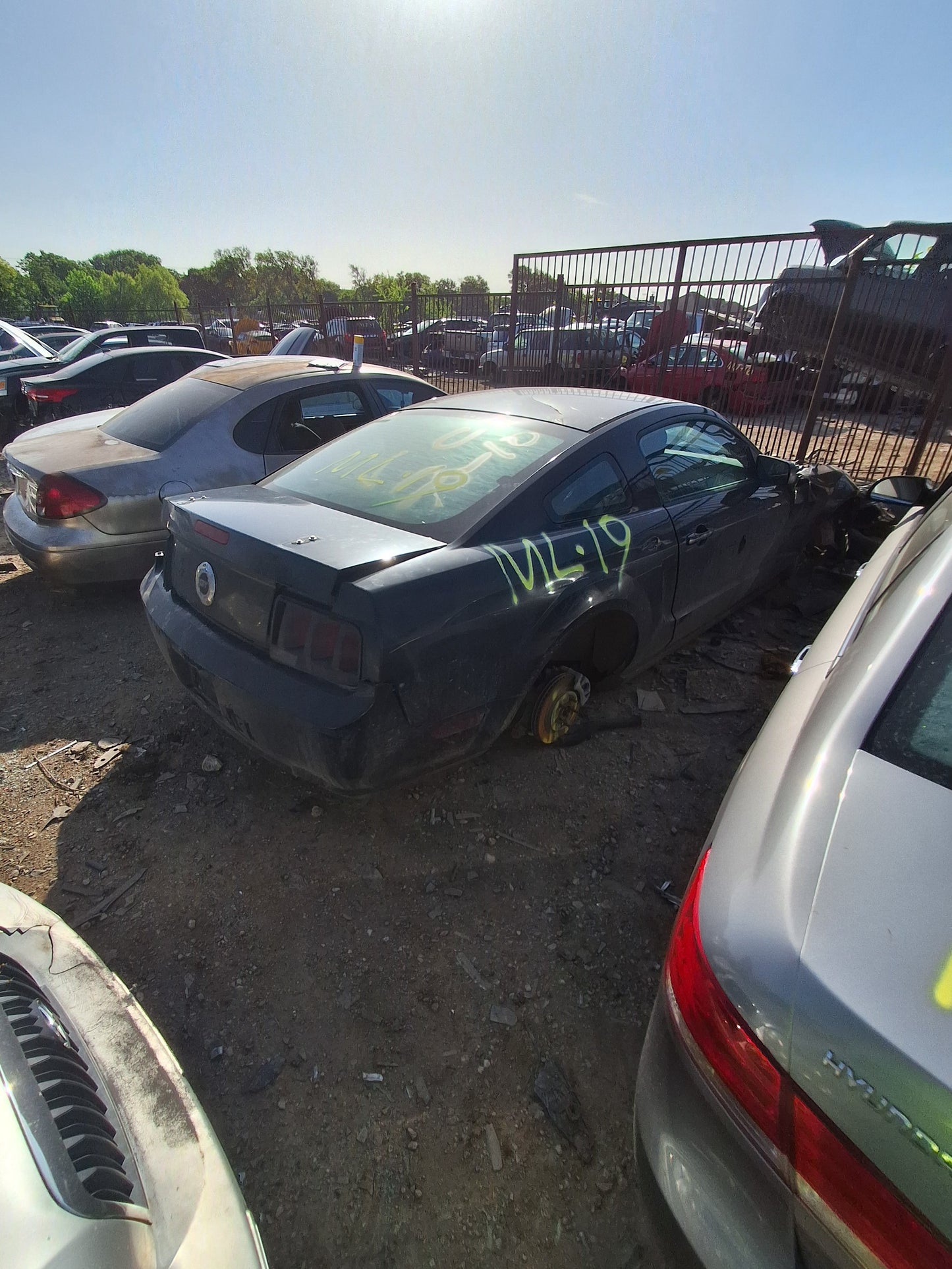 2005 - 2009 Ford Mustang - Stock #: M19429 ML-19