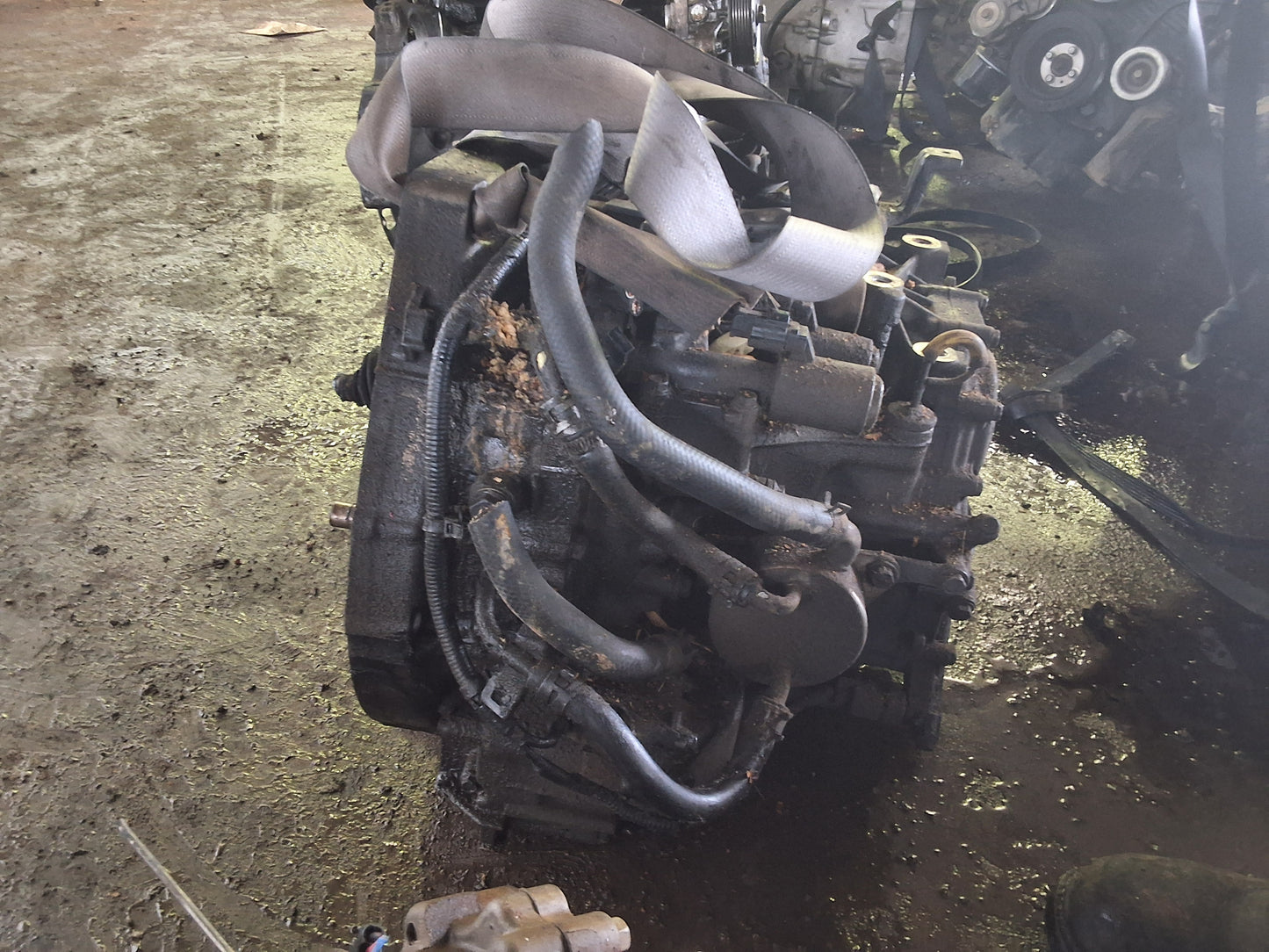 2006-2011 HONDA CIVIC  -  AUTOMATIC TRANSMISSION - #M18686