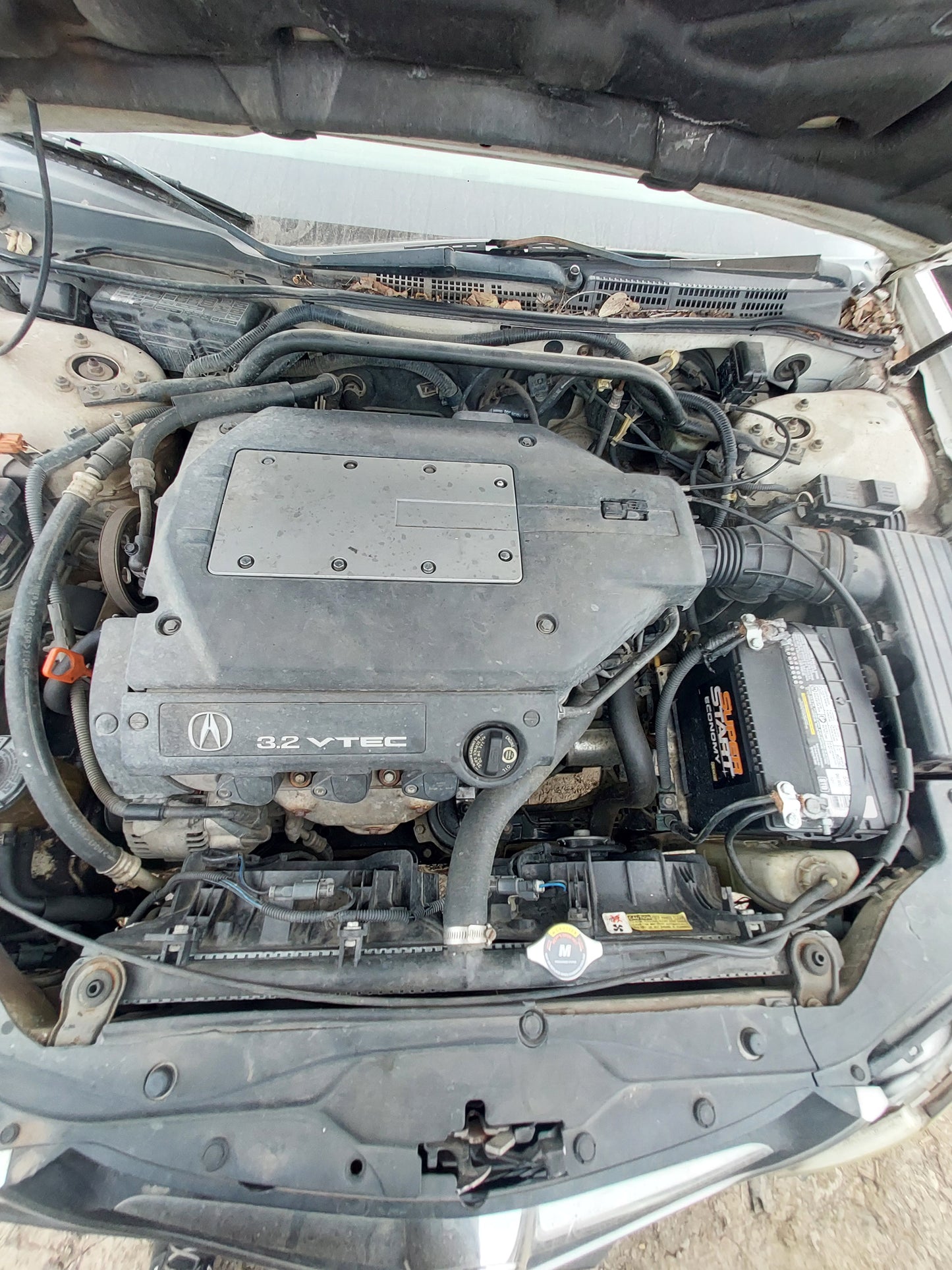 1999 - 2003 Acura TL - Stock #: M18212 MXH-2