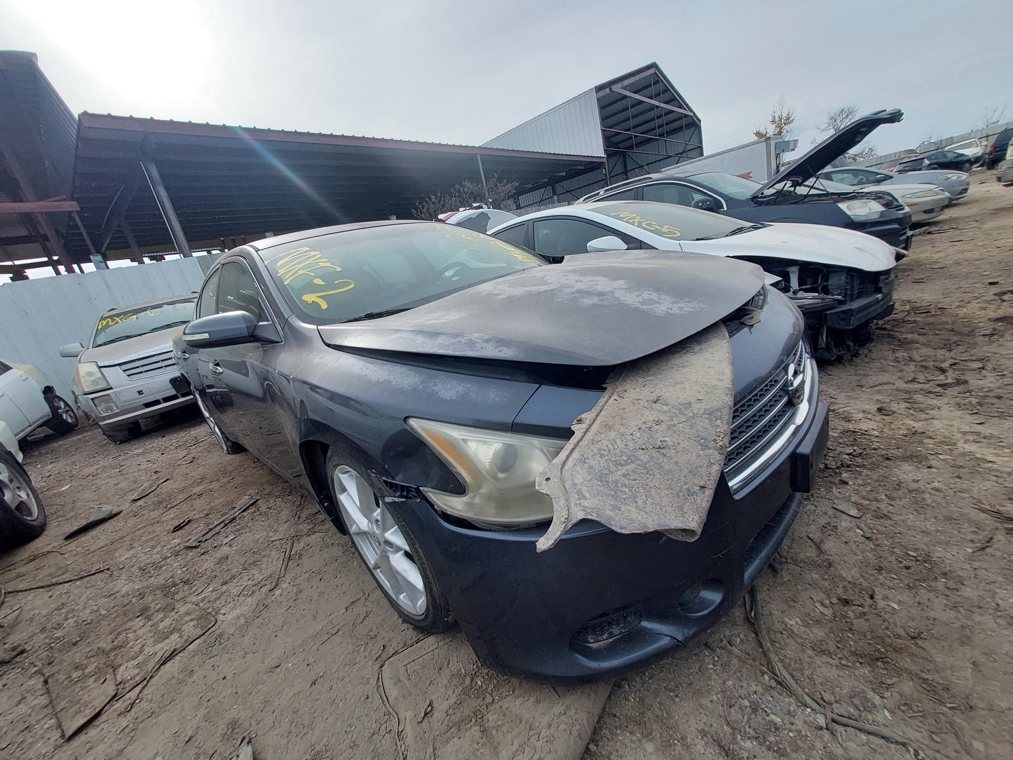 2009 NISSAN MAXIMA - STOCK # M18172