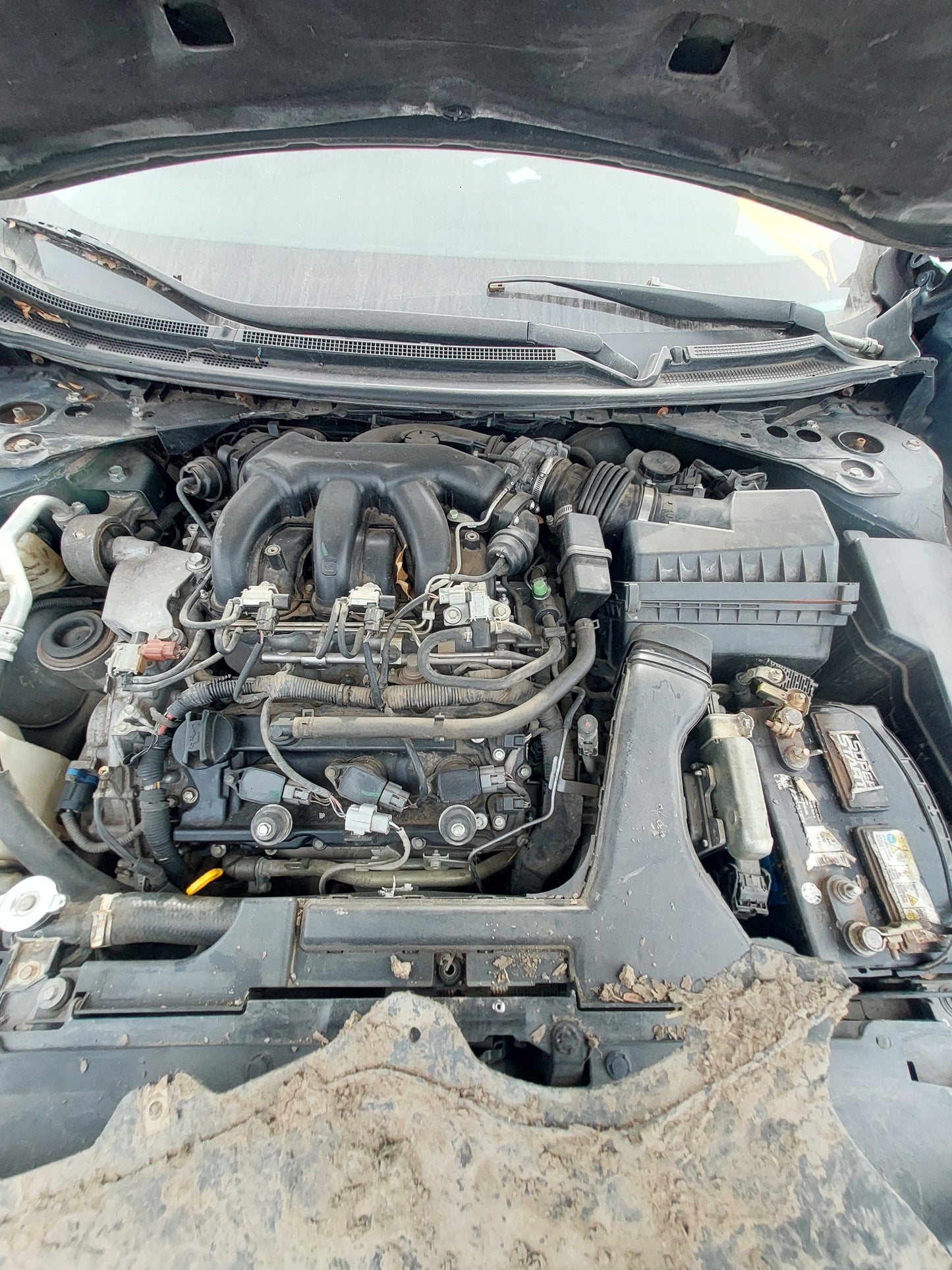 2009 NISSAN MAXIMA - STOCK # M18172