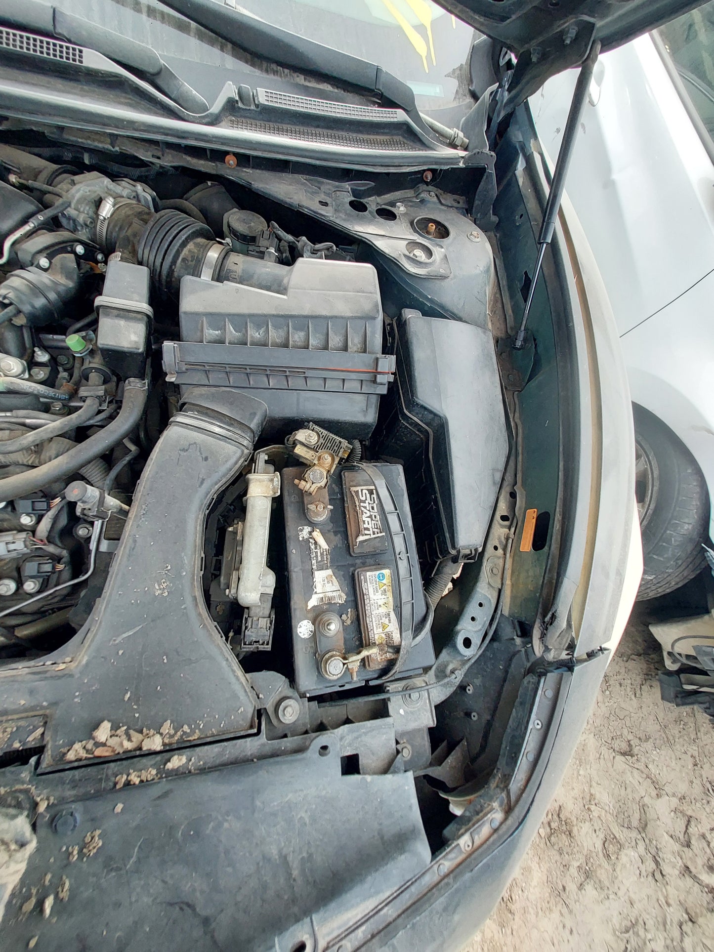 2009 NISSAN MAXIMA - STOCK # M18172