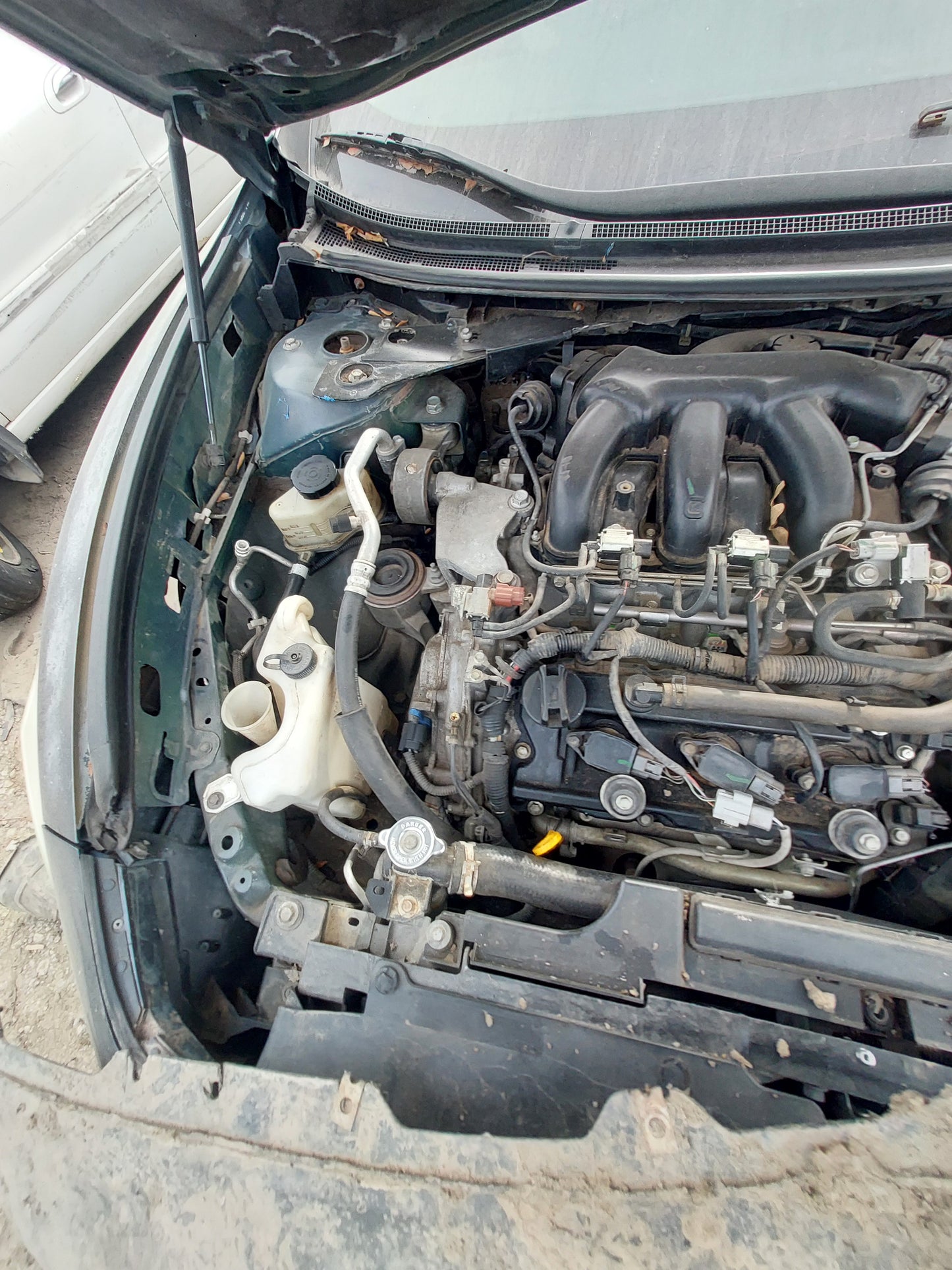 2009 NISSAN MAXIMA - STOCK # M18172