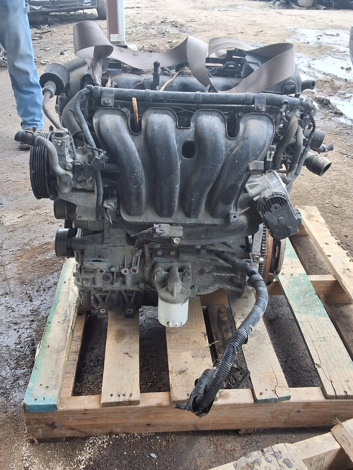 2010-2012 KIA FORTE 2.0 L Engine -#MS1516