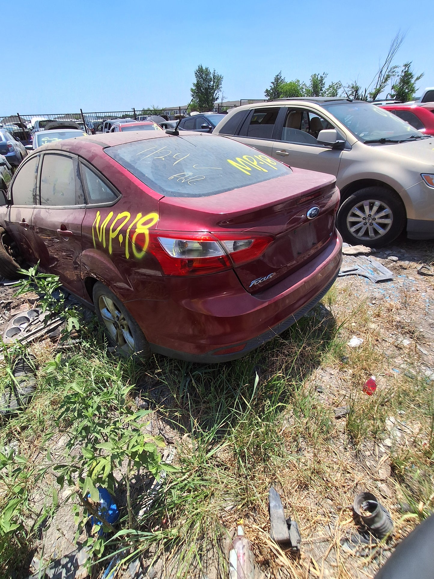 2014 Ford Focus - Stock #:  - M19508 - MP-18