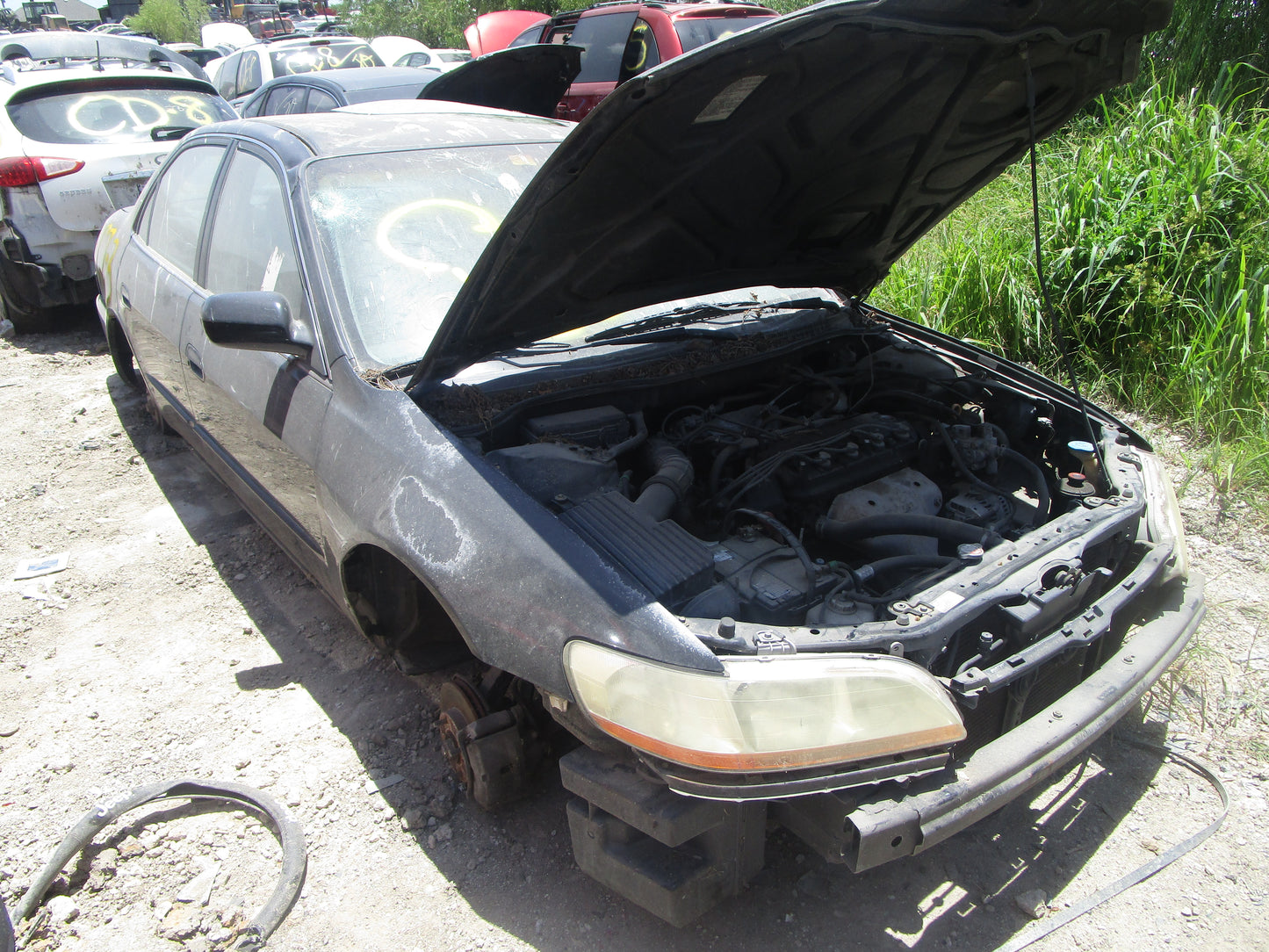 1/2 1998 - 2002 Honda Accord | All Parts A - F | SKU #: 16233 CI-3