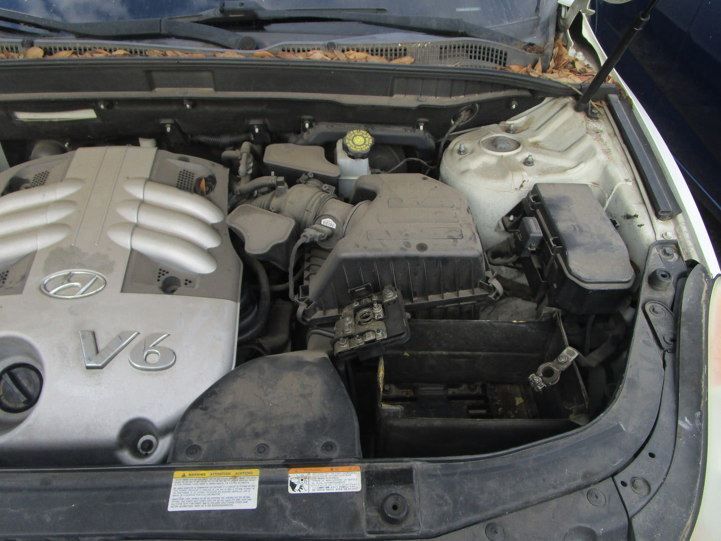 1/2 2007 - 2011 Hyundai Veracruz | All Parts A - F | SKU #:16748 CN-18