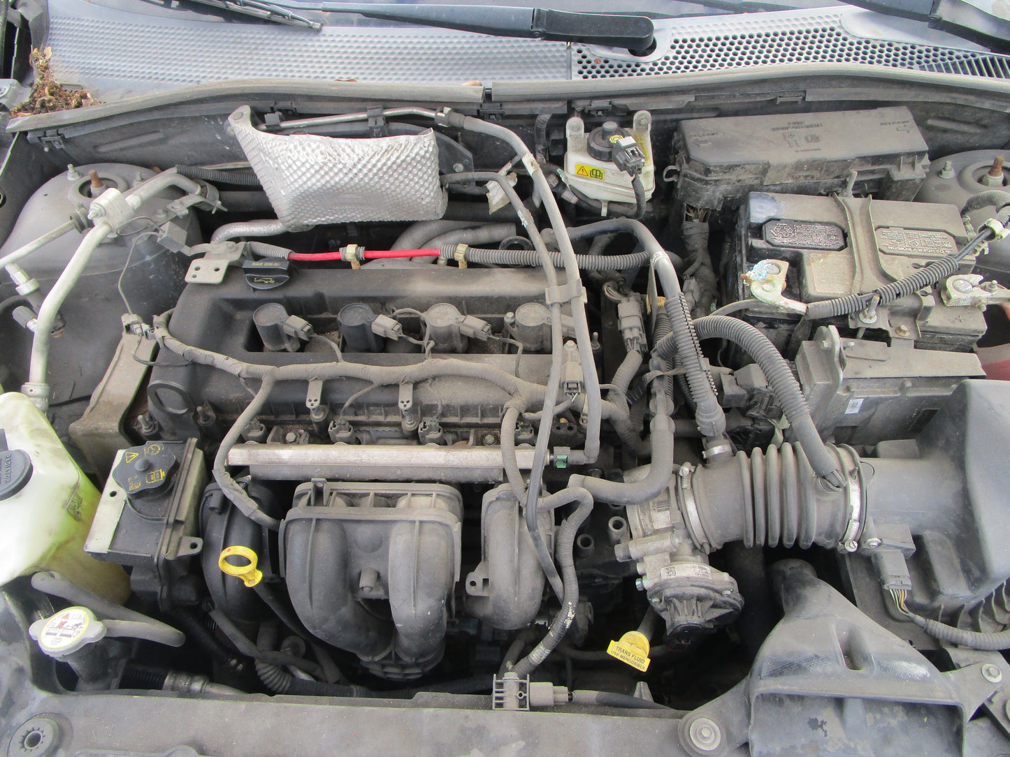 1/2 2008 - 2011 Ford Focus  SE  | All Parts A - F | SKU #:16747 CN-17