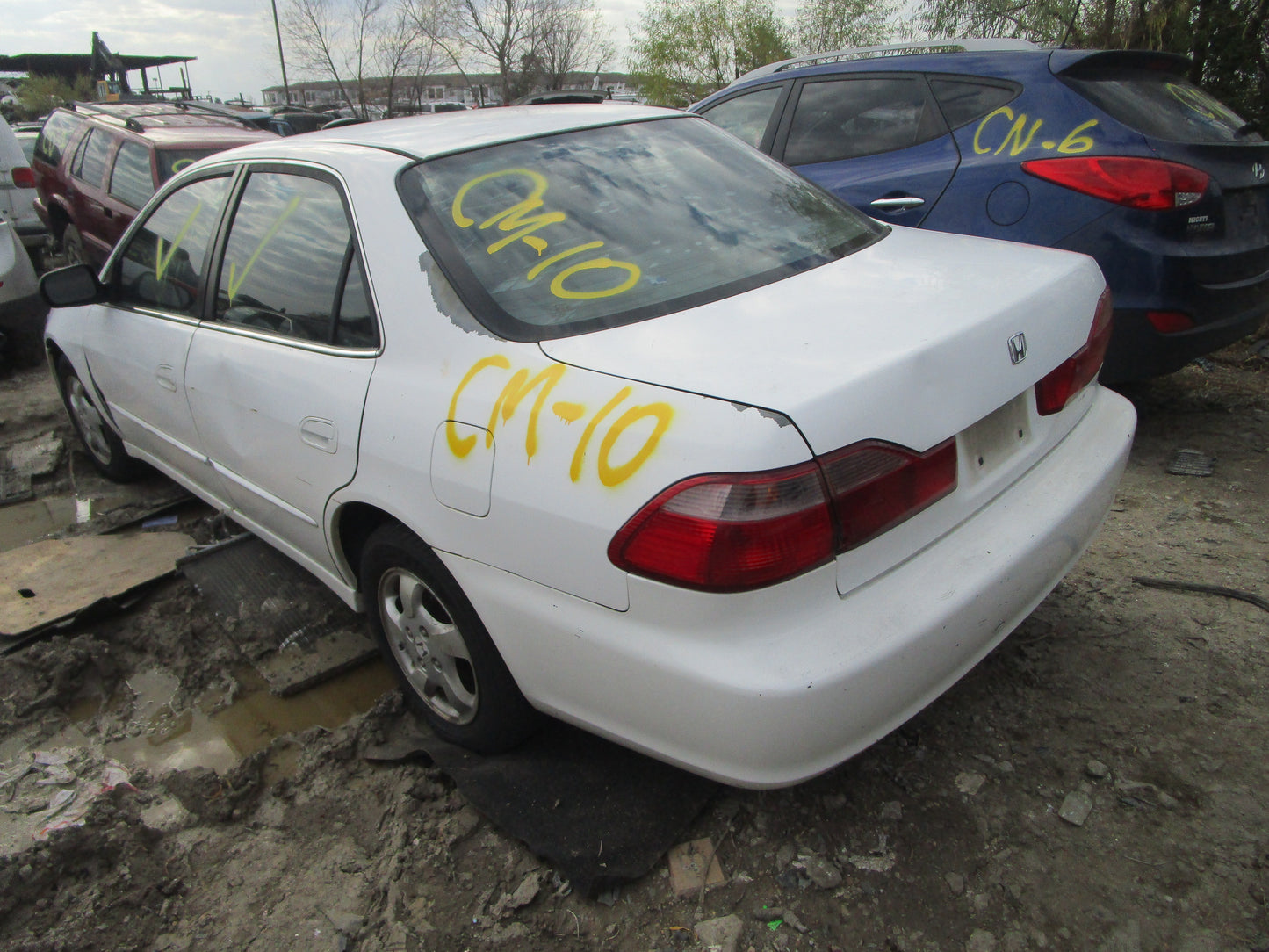 1/2 1998 - 2002 Honda Accord | All Parts A - F | SKU #:16720 CM-10