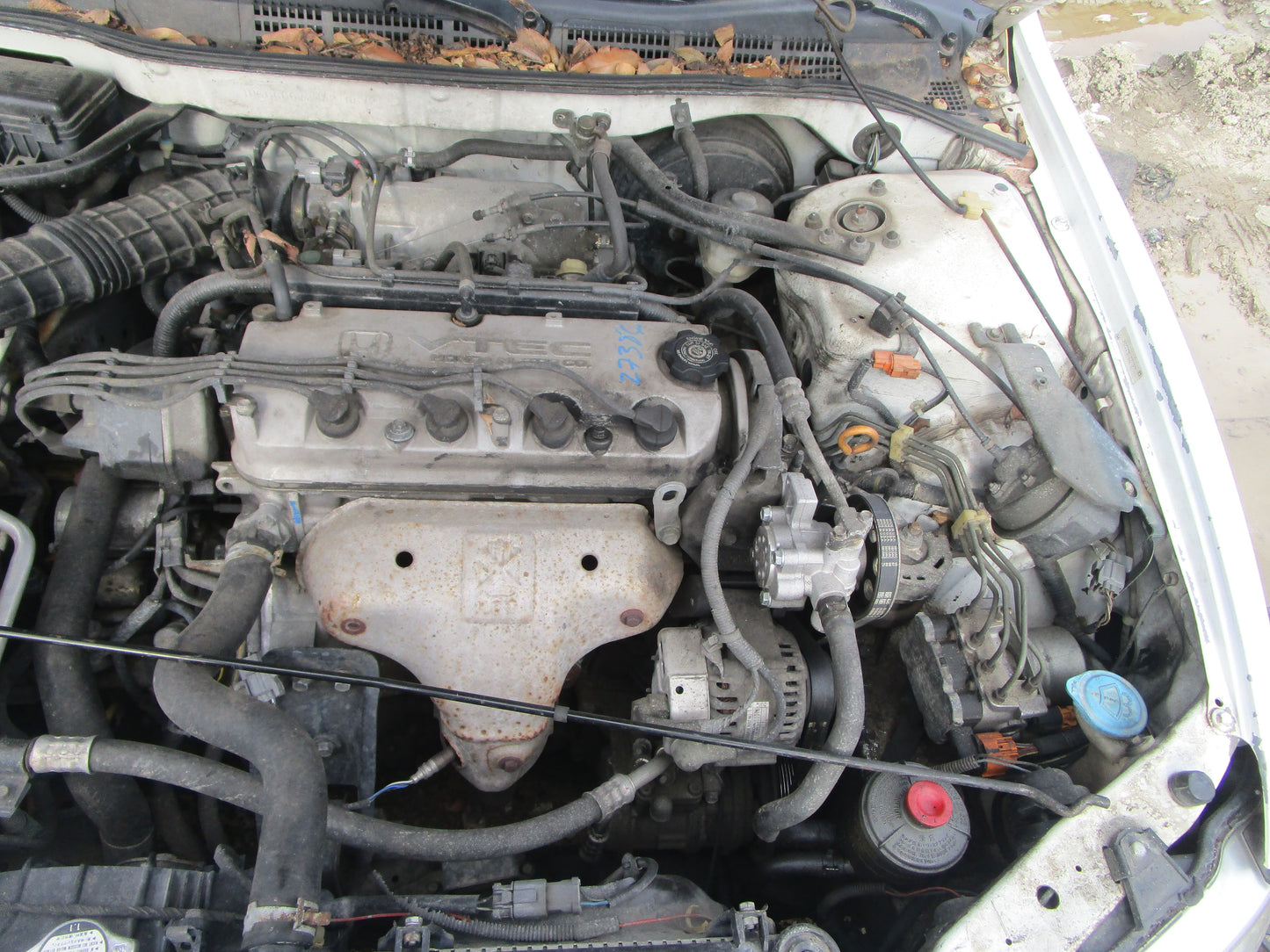 1/2 1998 - 2002 Honda Accord | All Parts A - F | SKU #:16720 CM-10