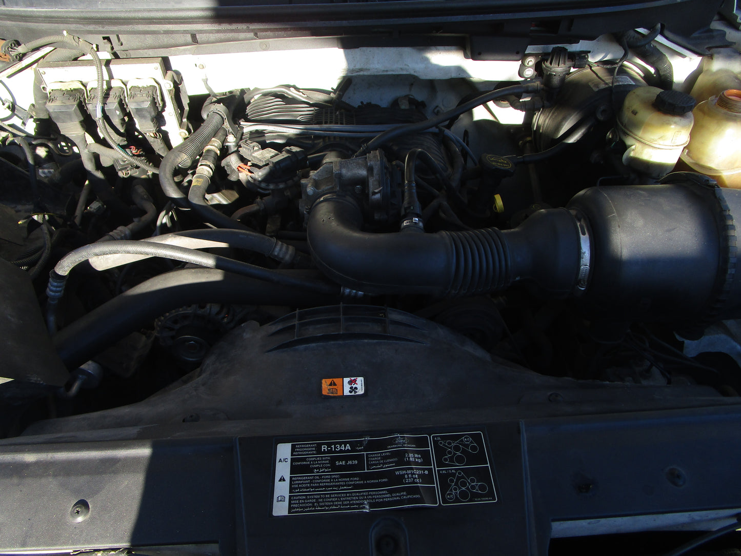1/2 2004 - 2008 Ford F150 | All Parts A - F | SKU #:16769 CO-19