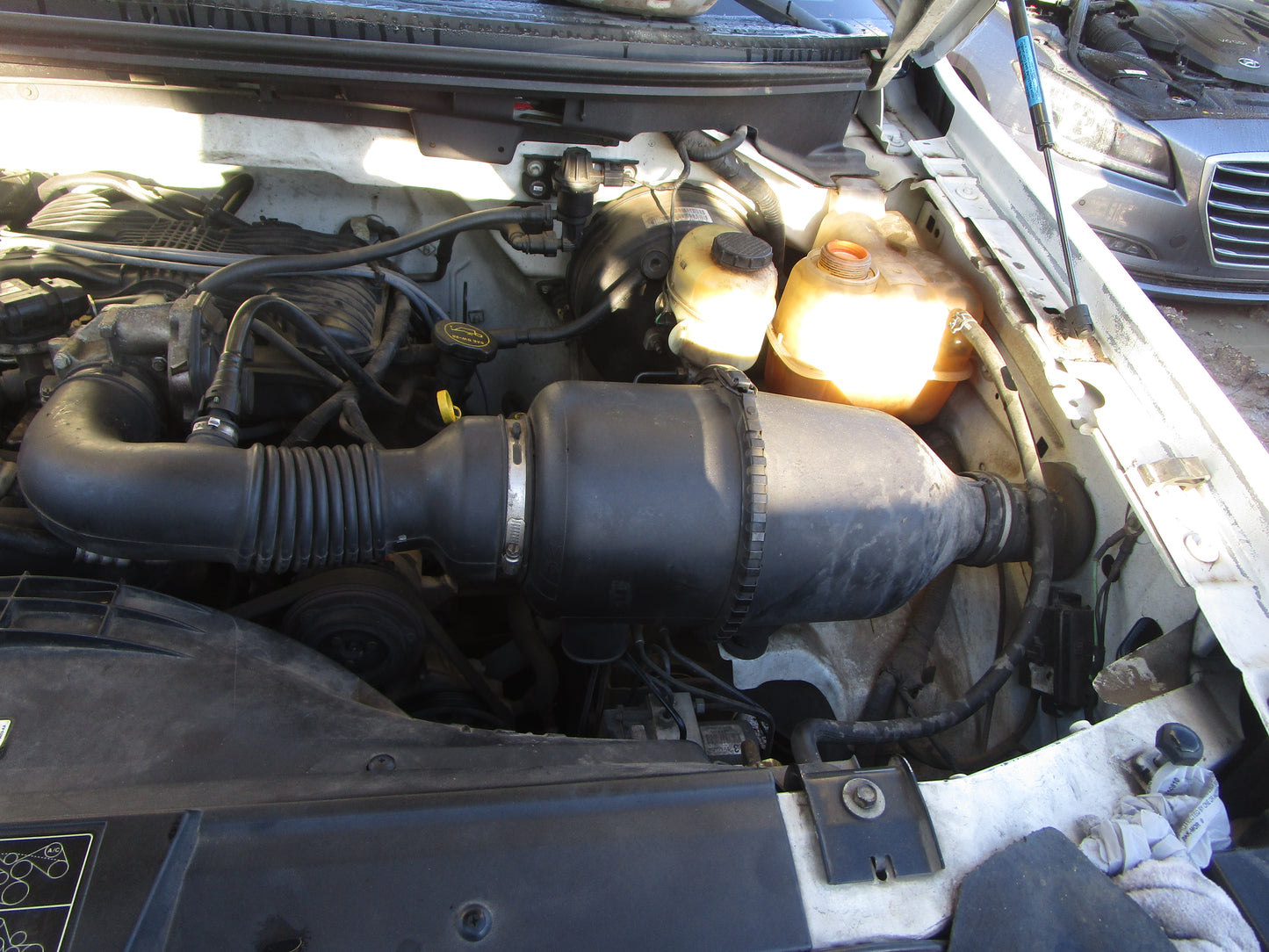 1/2 2004 - 2008 Ford F150 | All Parts A - F | SKU #:16769 CO-19
