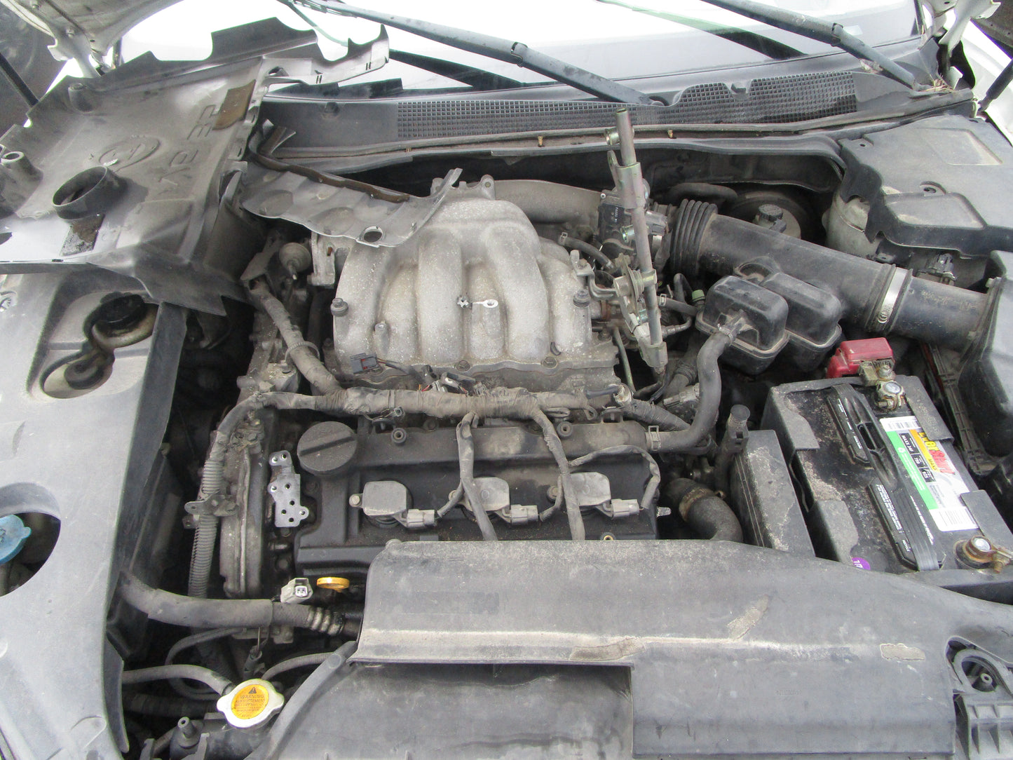 2005-2006 NISSAN MAXIMA - AUTOMATIC TRANSMISSION - # 16066