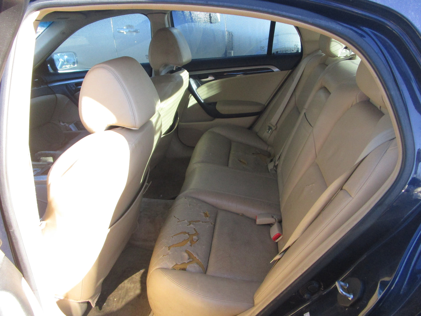 1/2 2004 - 2008 Acura TL | All Parts A - F | SKU #:16766 CO-16