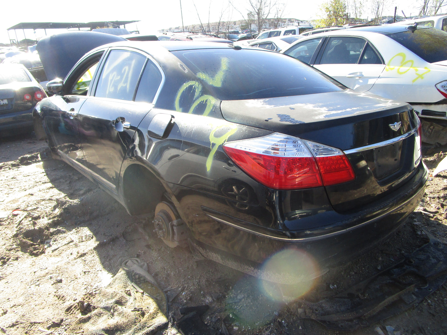 1/2 2009 - 2012 Hyundai Genesis | All Parts A - F | SKU #: 16759 CO-9