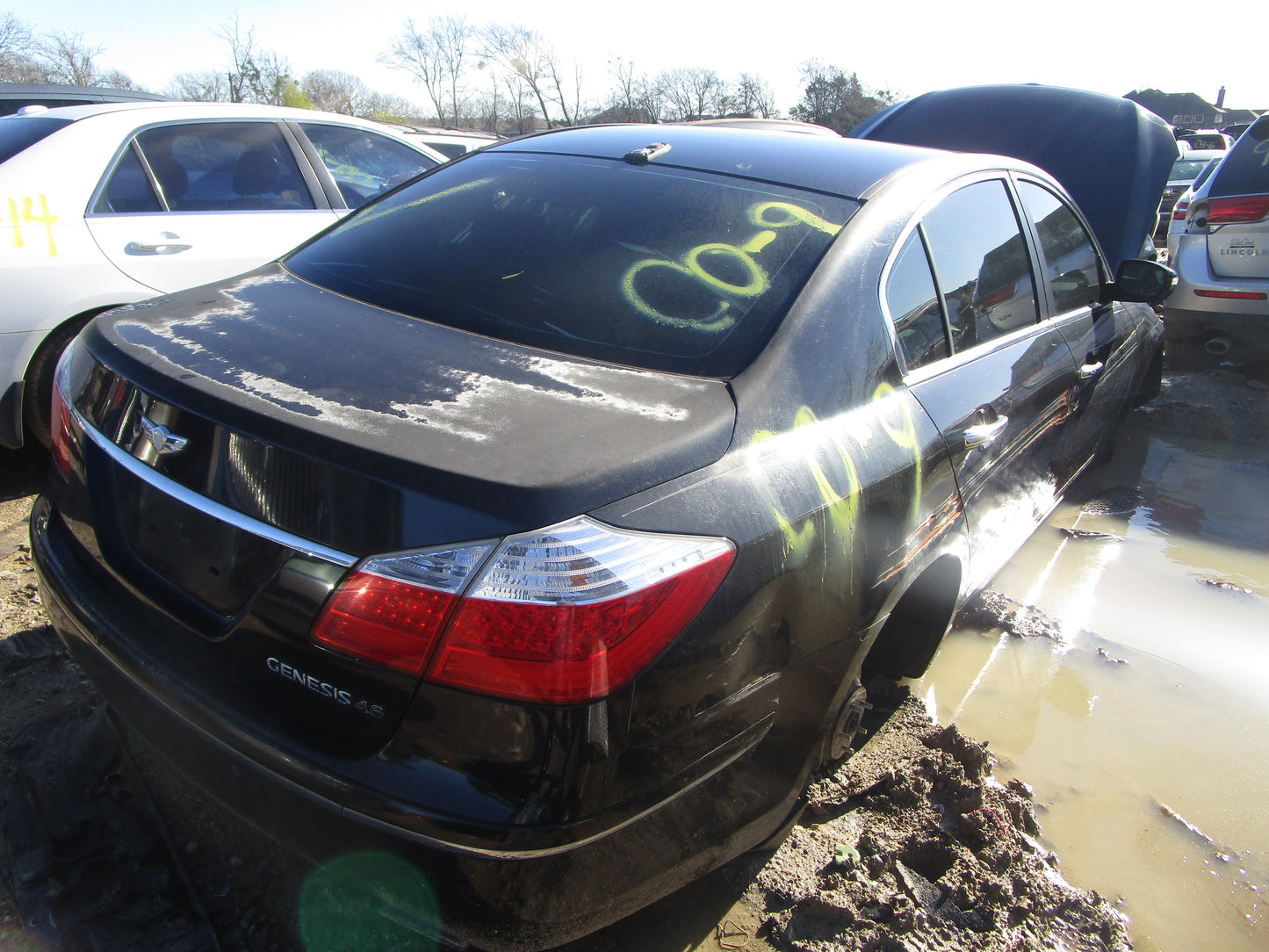 1/2 2009 - 2012 Hyundai Genesis | All Parts A - F | SKU #: 16759 CO-9