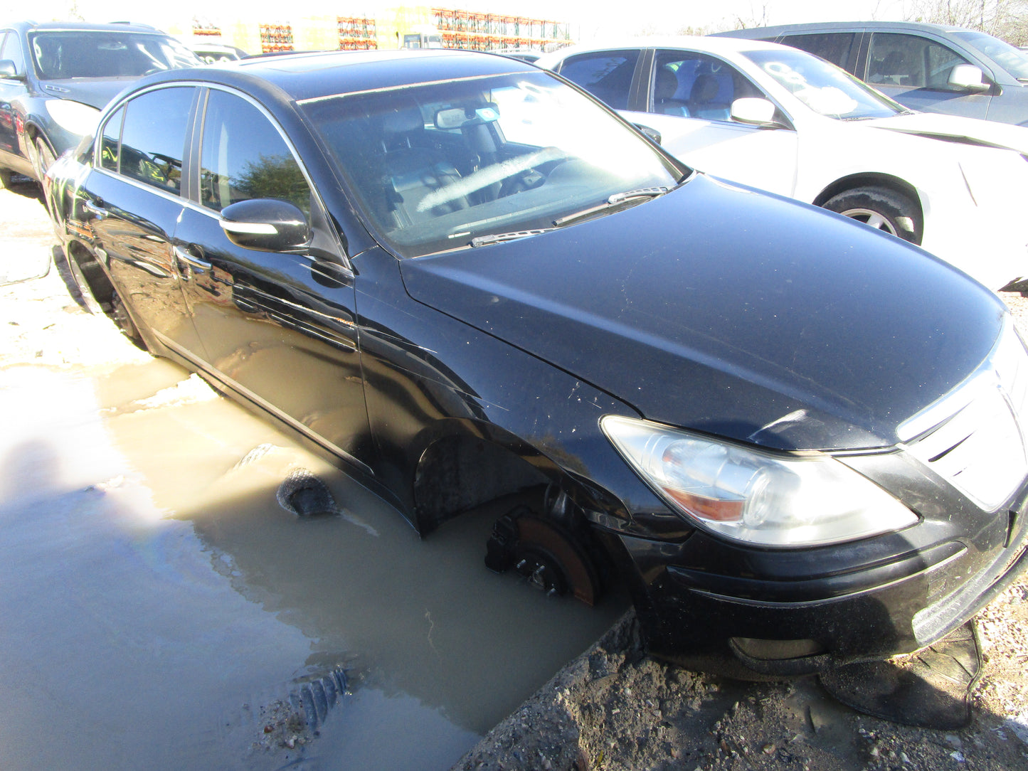 1/2 2009 - 2012 Hyundai Genesis | All Parts A - F | SKU #: 16759 CO-9
