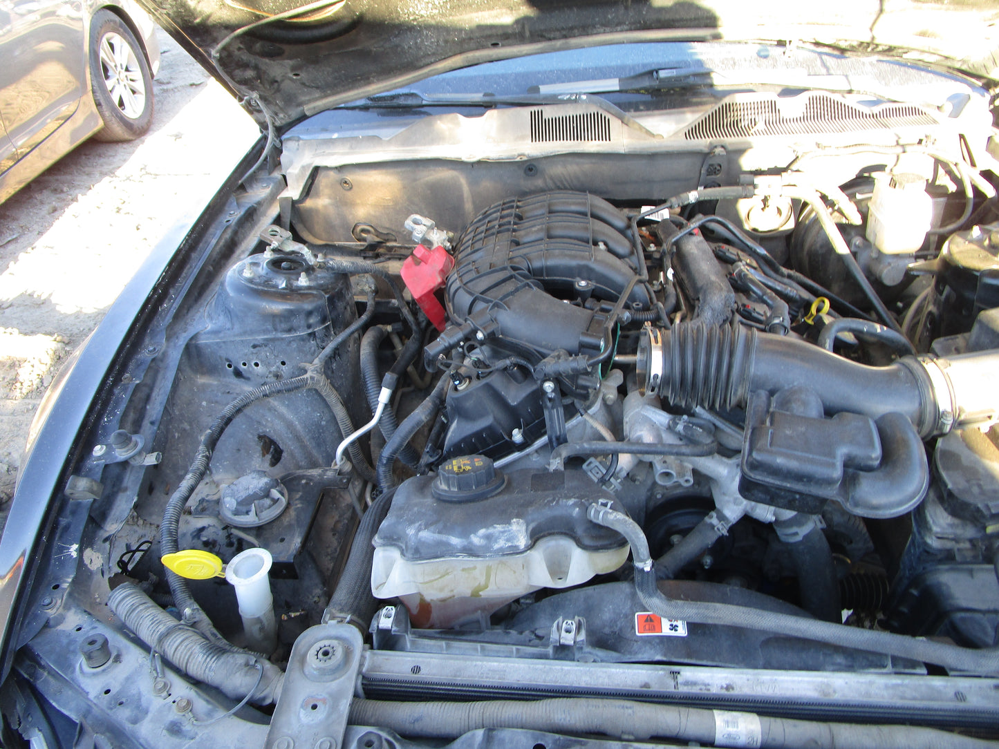 2/2 2011 - 2014 Ford Mustang | All Parts G - Z | SKU #: 16781 CP-11