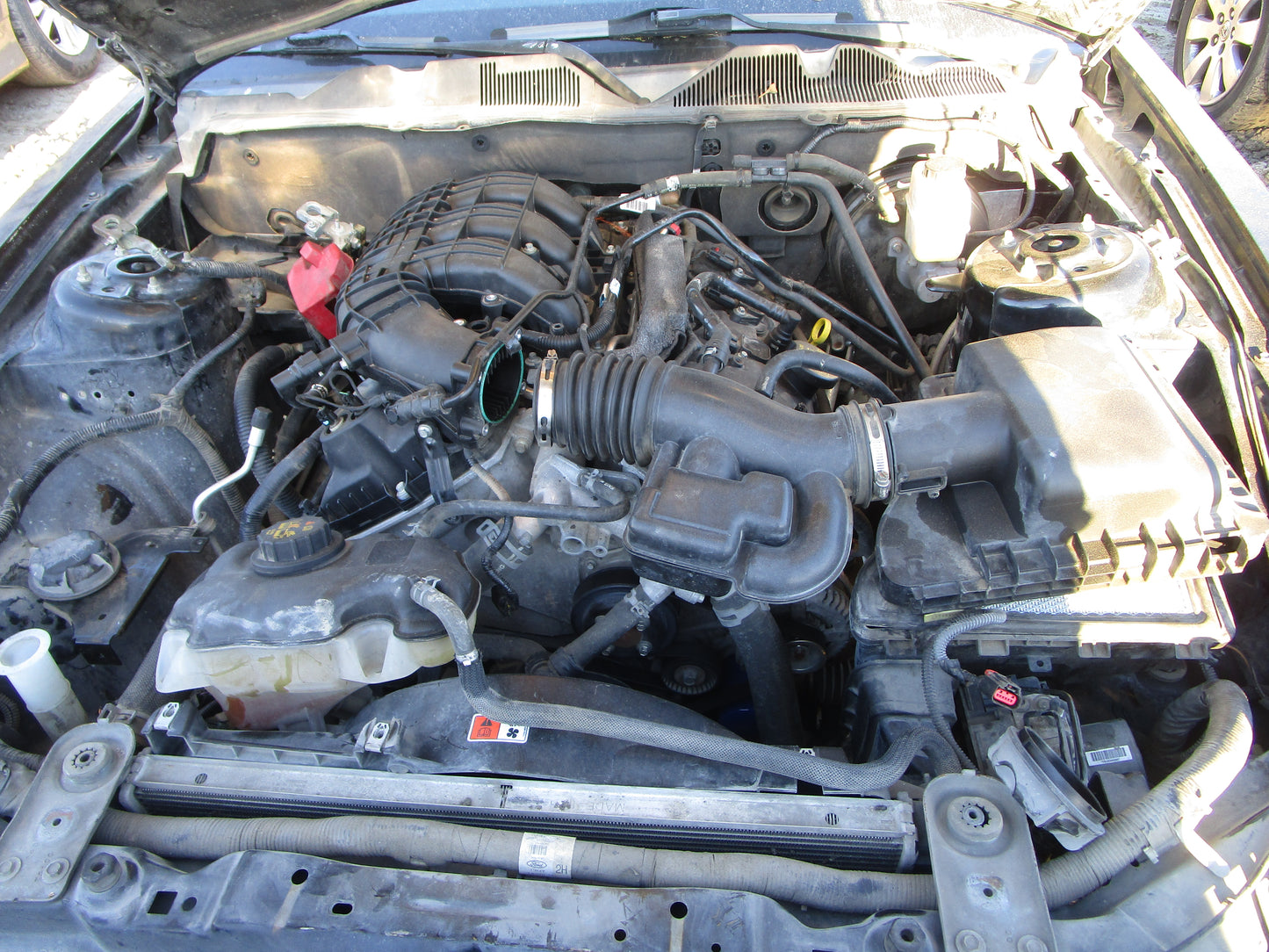 2/2 2011 - 2014 Ford Mustang | All Parts G - Z | SKU #: 16781 CP-11