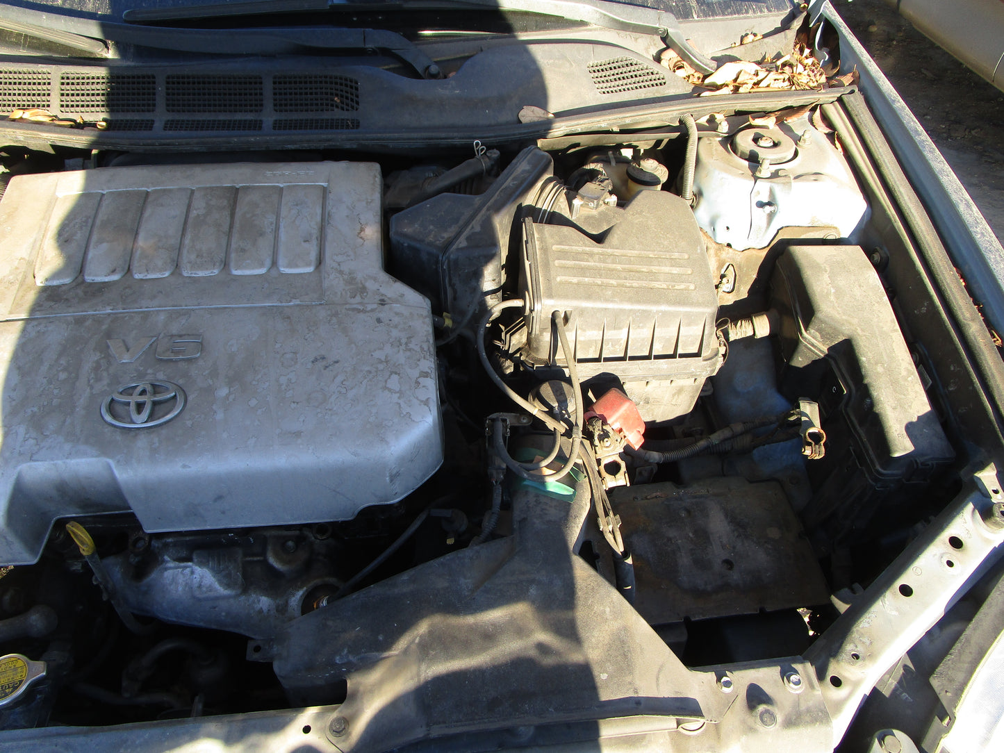 1/2 2005 - 2010 Toyota Avalon XLS | All Parts A - F | SKU #:16786 CP-16
