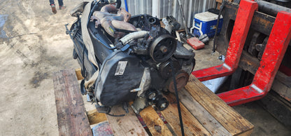 2000 - 2004 Ford Focus - 2.0 L Engine -#17290