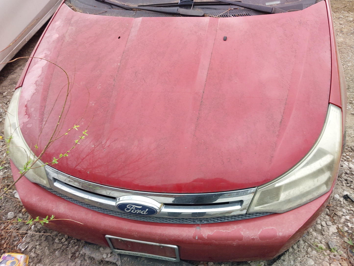 2008-2012 FORD FOCUS - PARTING OUT- MM-12 # M18642