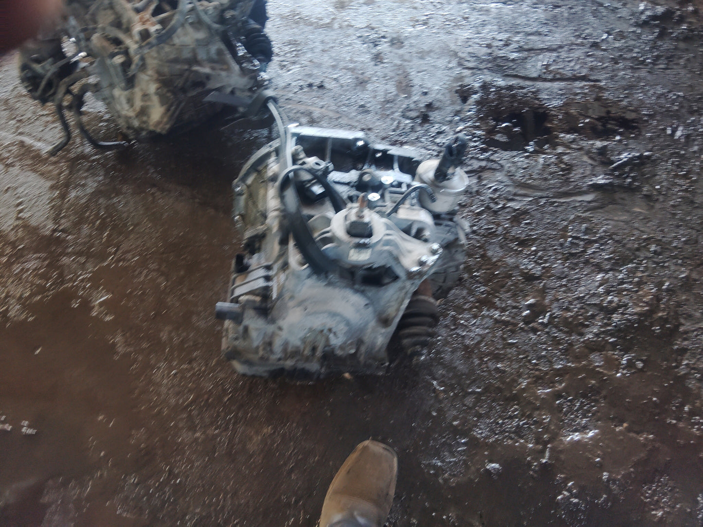 2007-2010 Mini Cooper - Transmission -#M18866