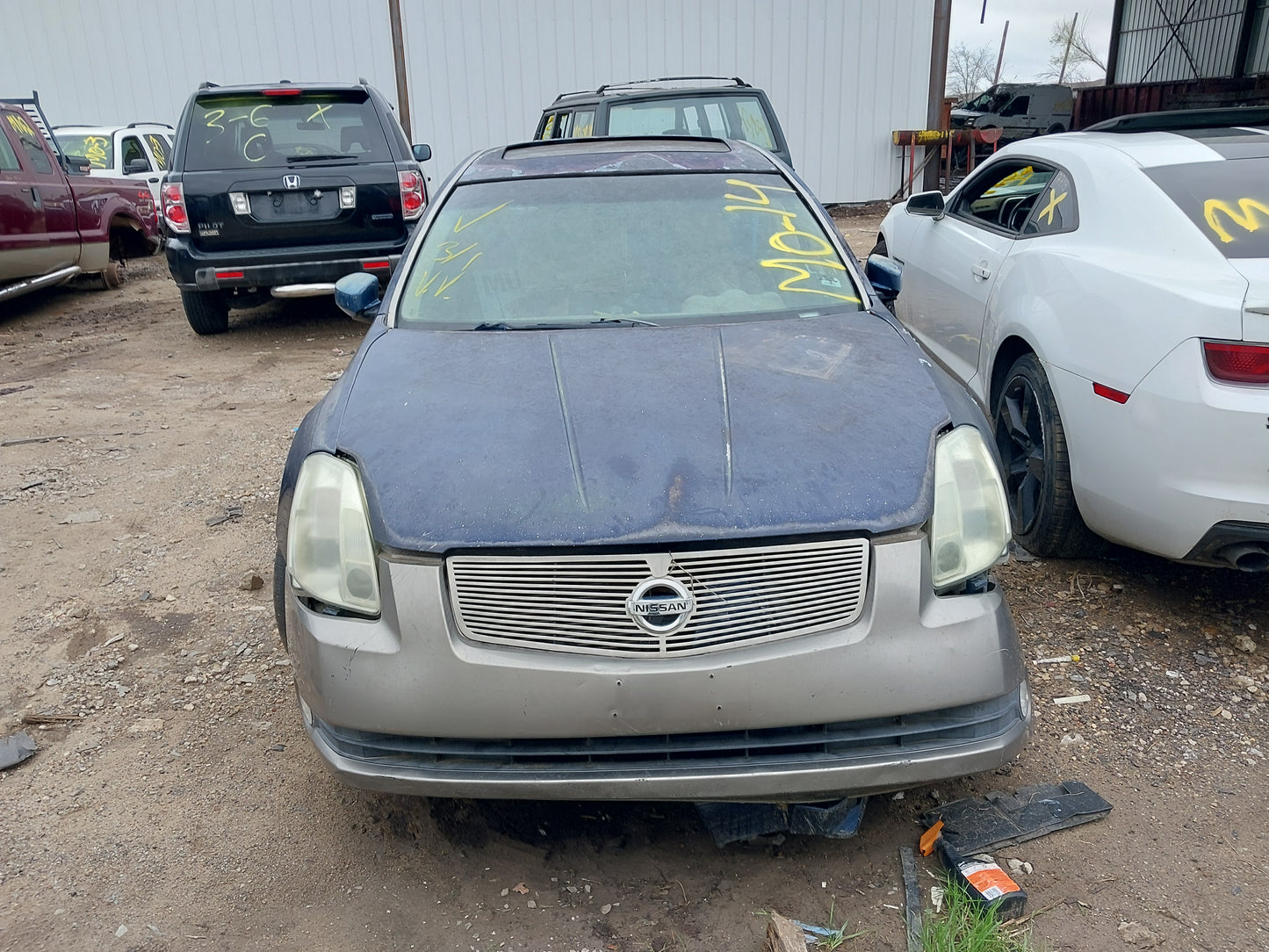 2006 NISSAN MAXIMA - STOCK #M18684