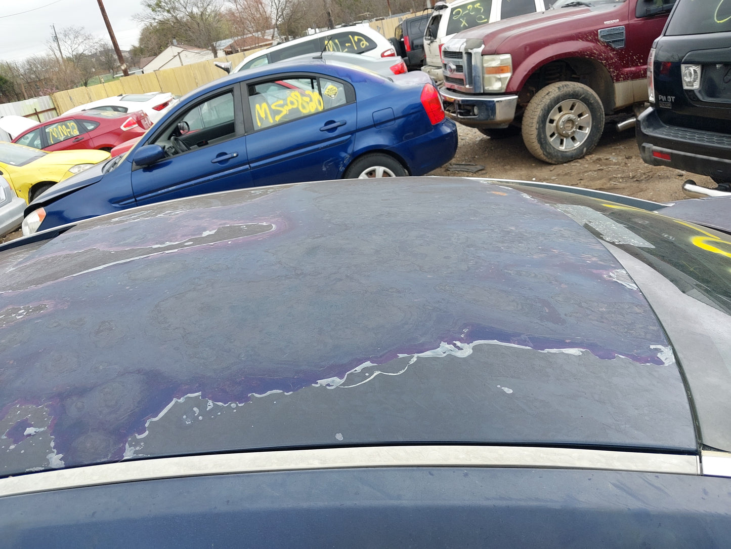 2006 NISSAN MAXIMA - STOCK #M18684